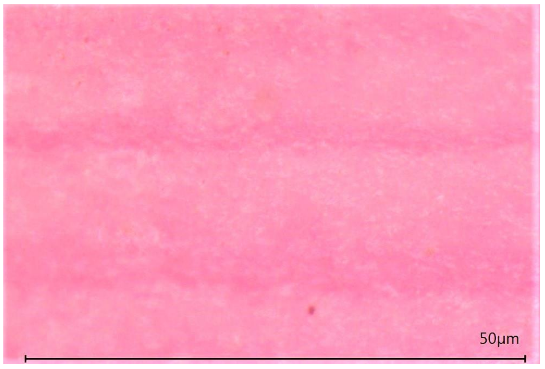 Materials 13 04714 g011