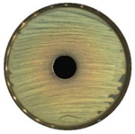 Materials 13 04715 i012