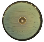 Materials 13 04715 i014