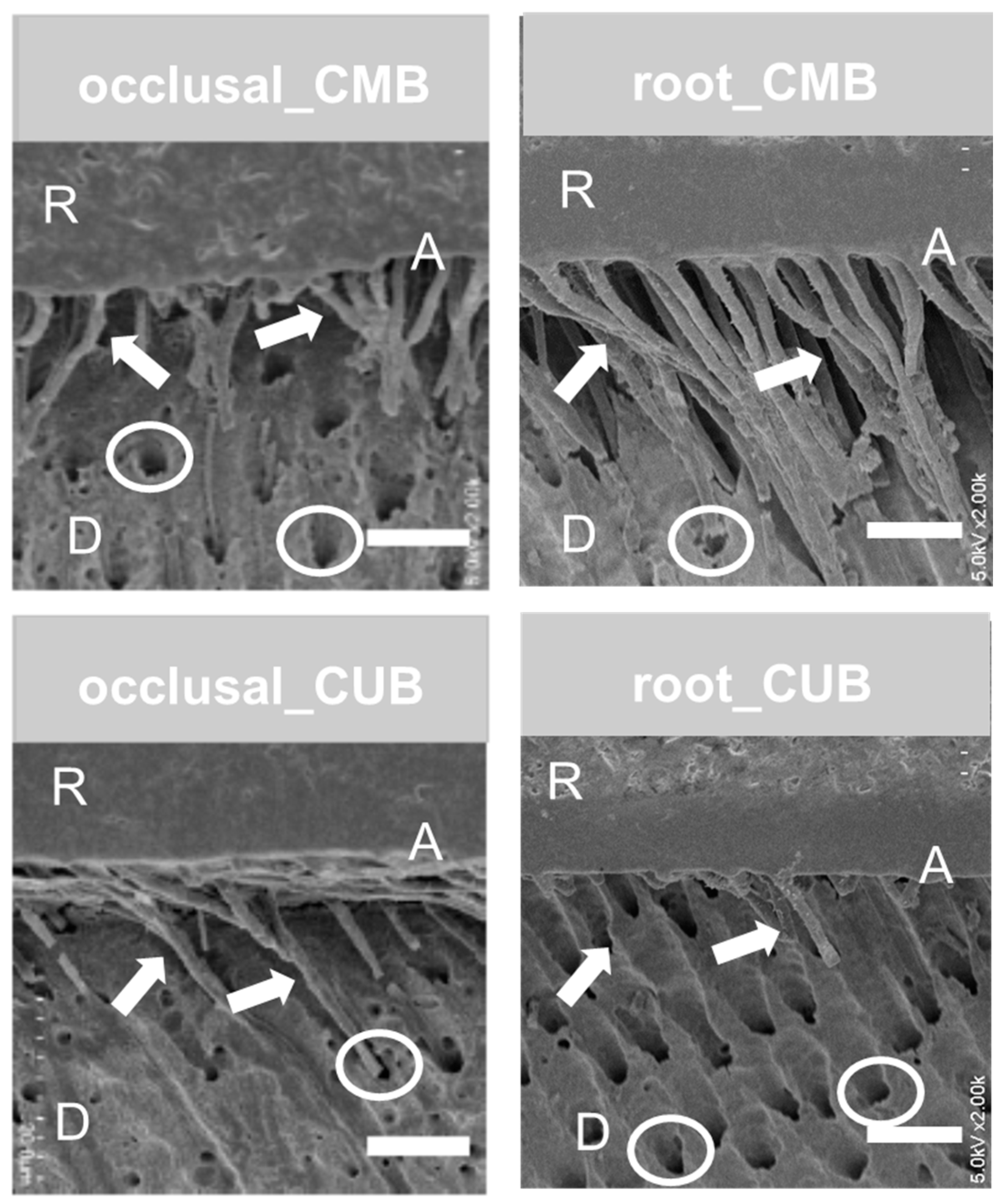 Materials 13 04727 g005