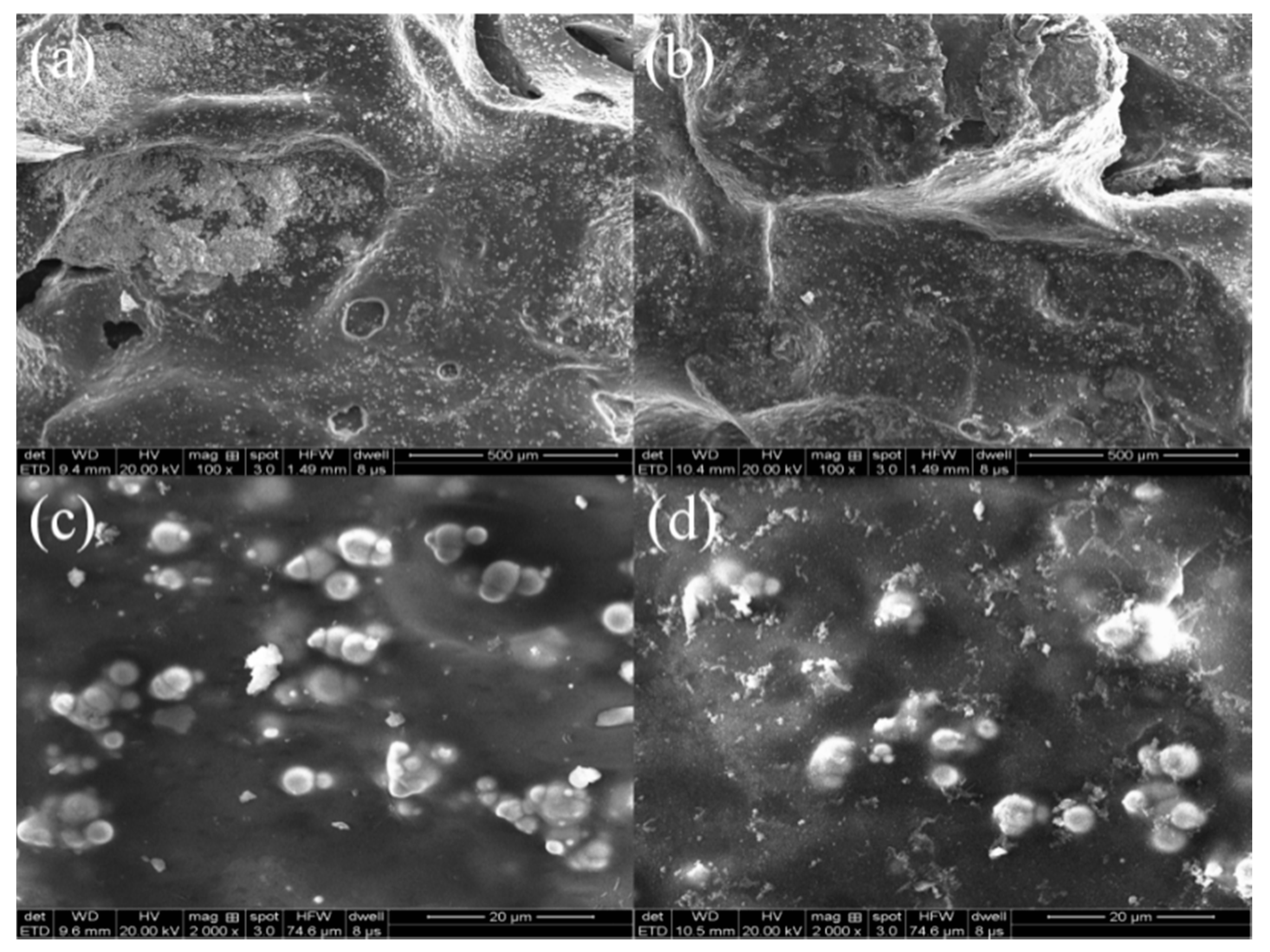 Materials 13 04739 g009