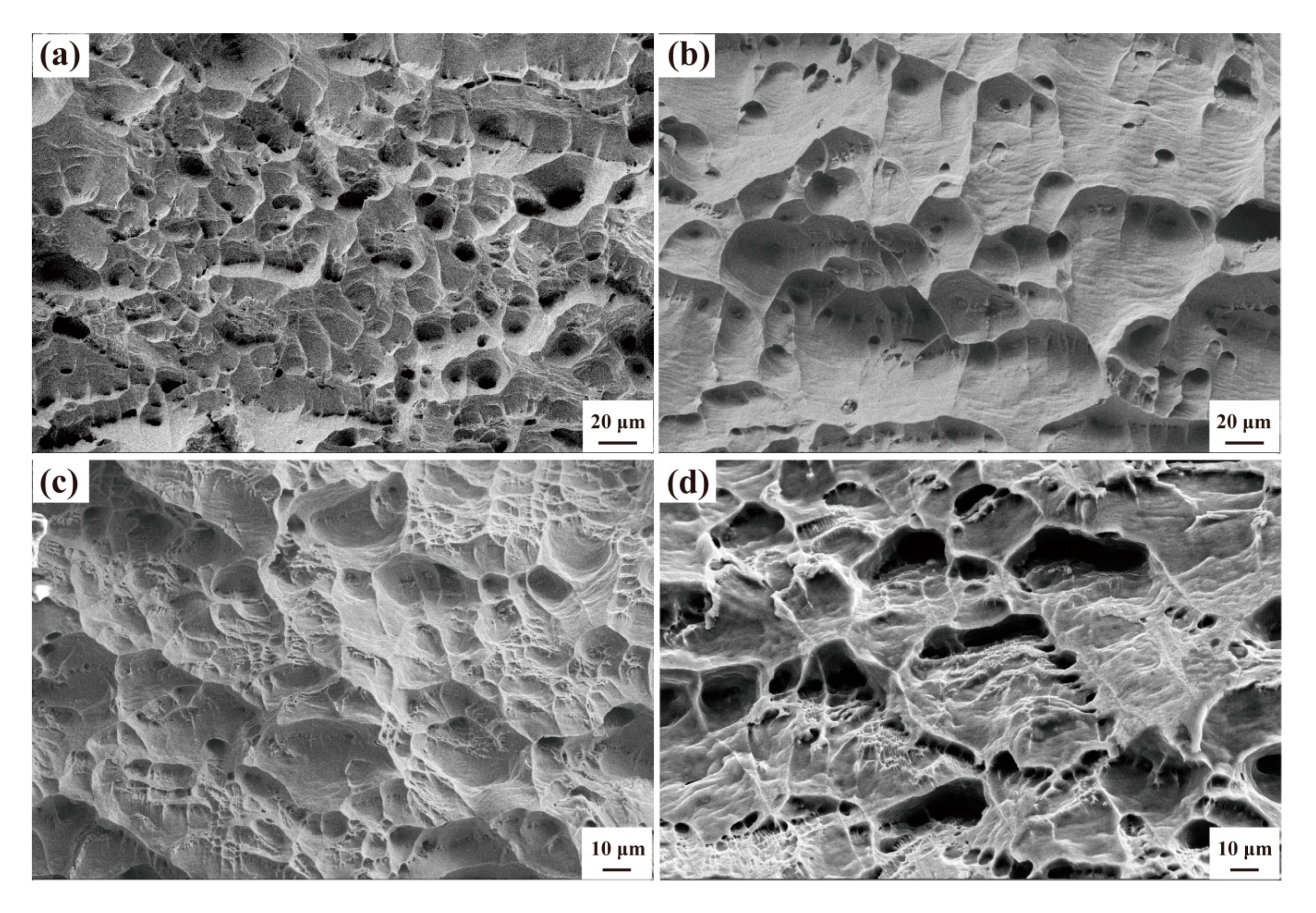 Materials 13 04744 g005