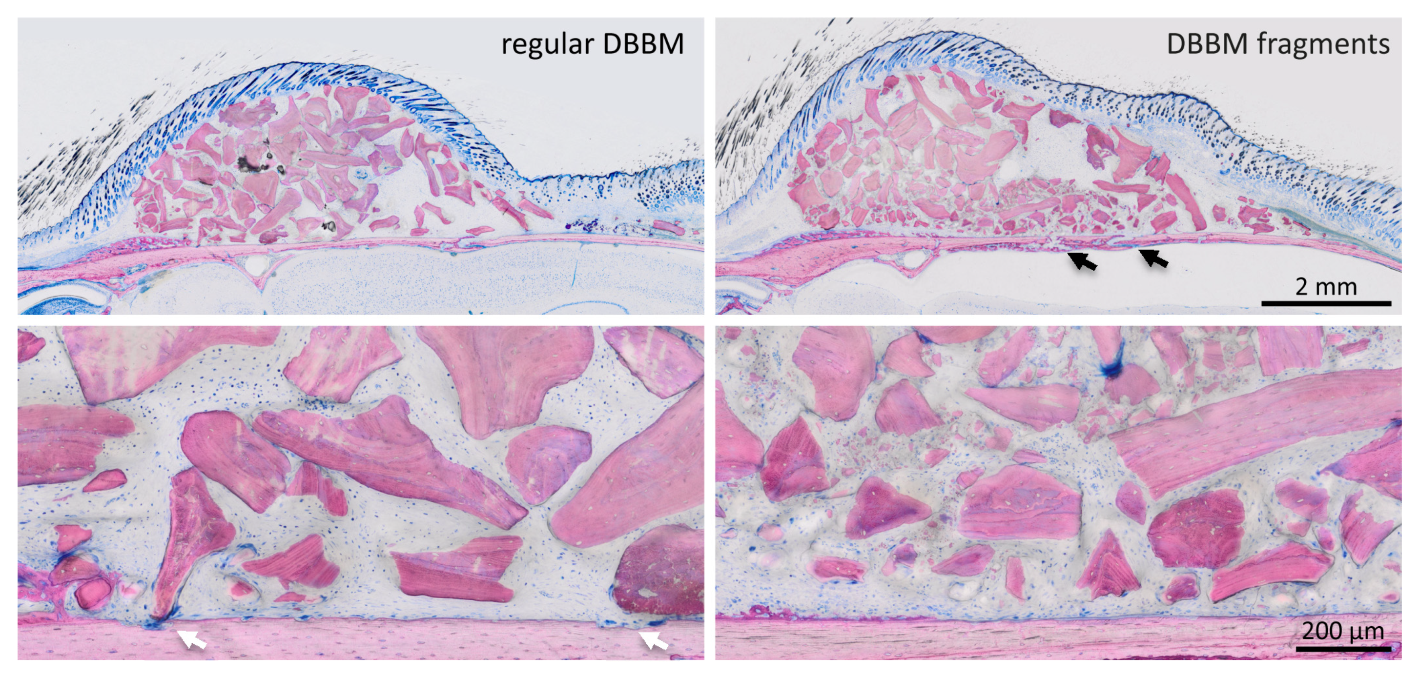 Materials 13 04748 g003