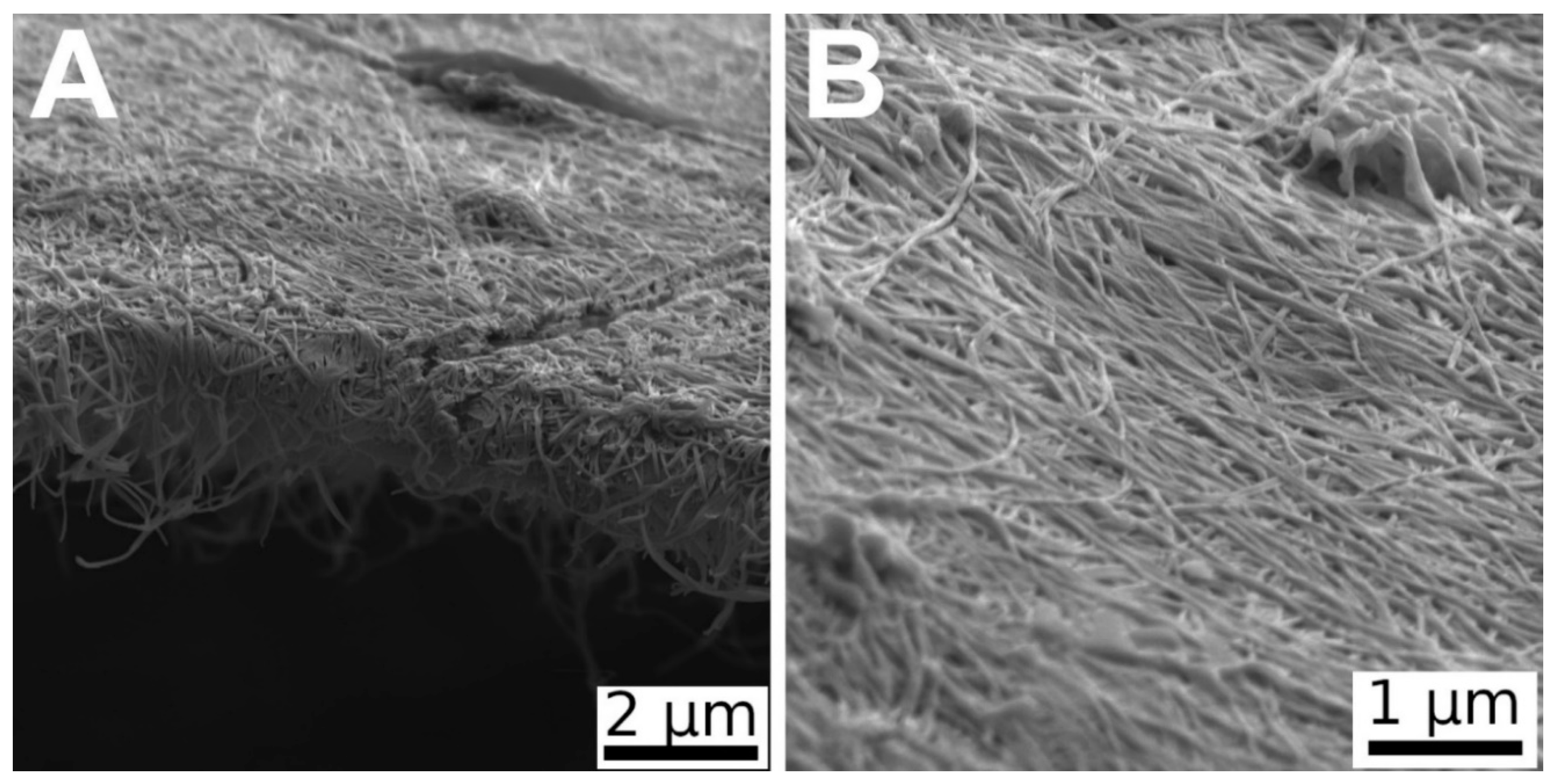 Materials 13 04759 g001