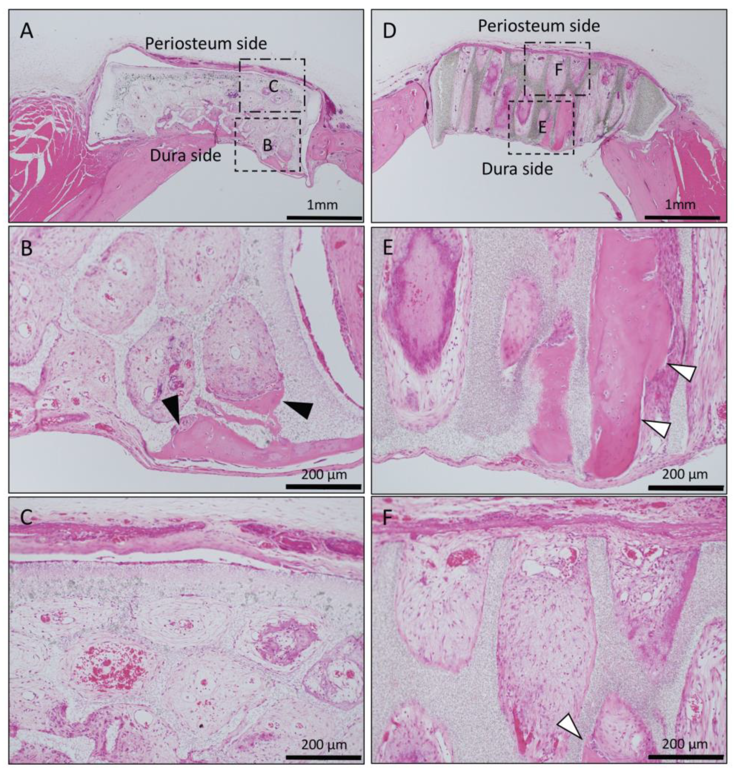 Materials 13 04761 g005