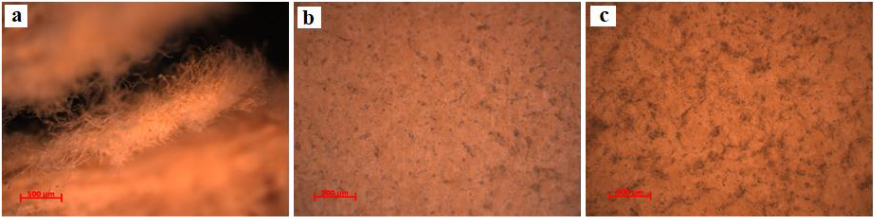 Materials 13 04766 g004