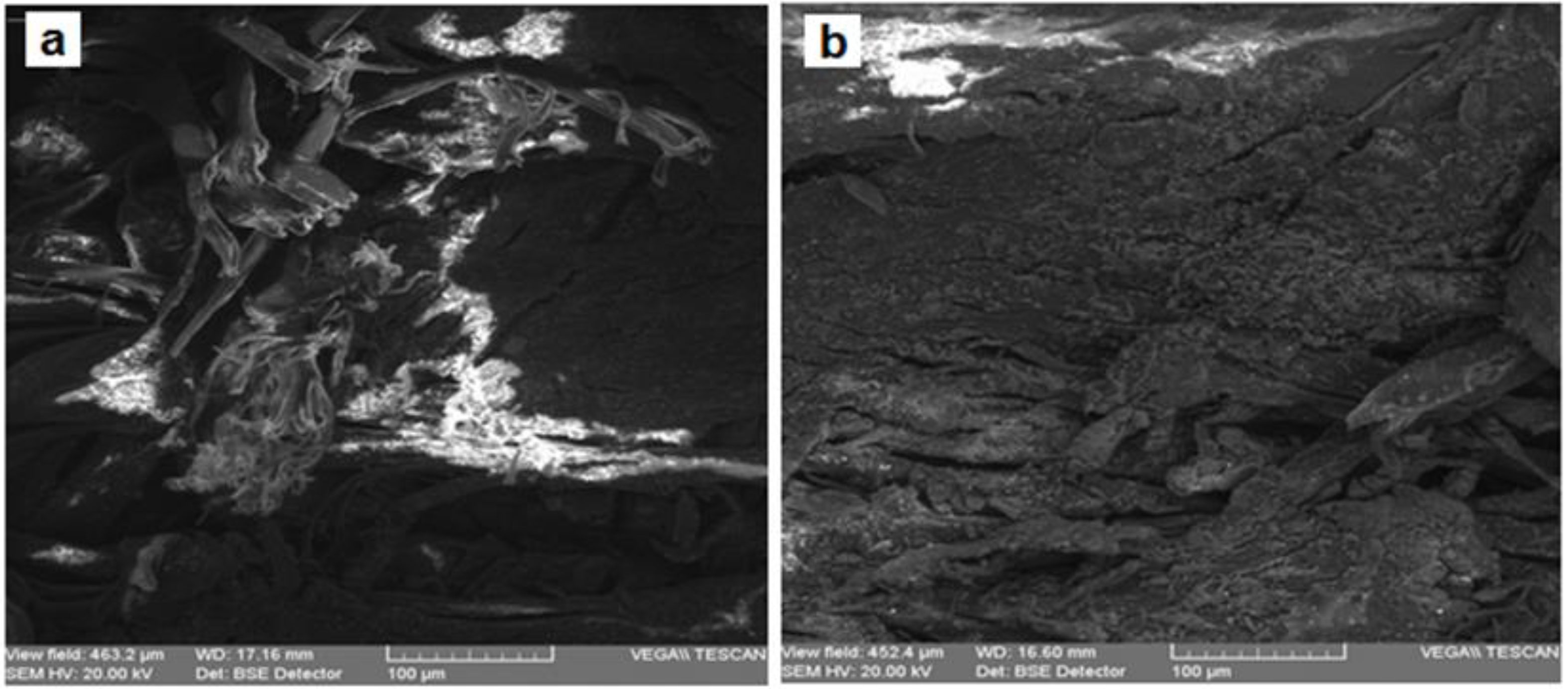 Materials 13 04766 g007