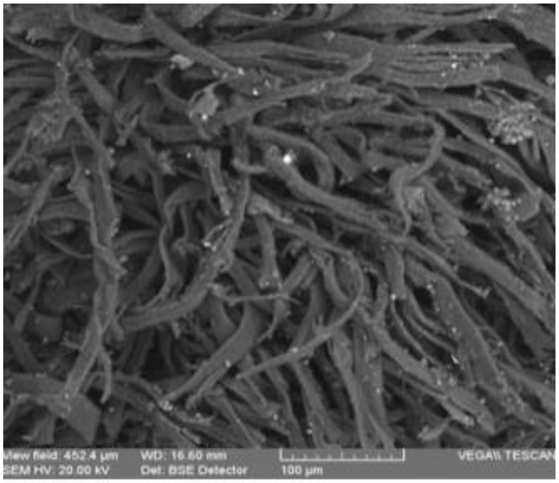 Materials 13 04766 g008