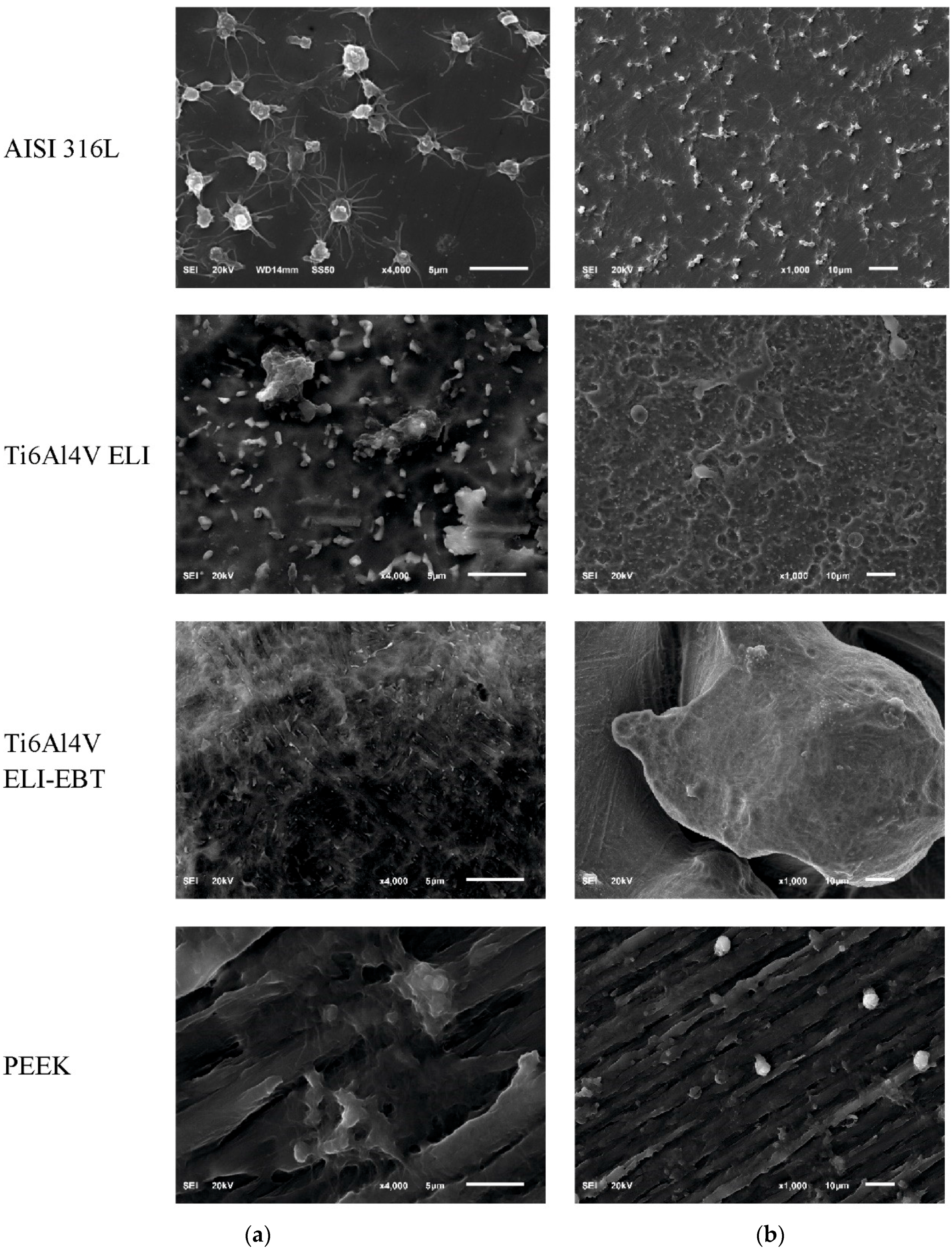 Materials 13 04769 g003