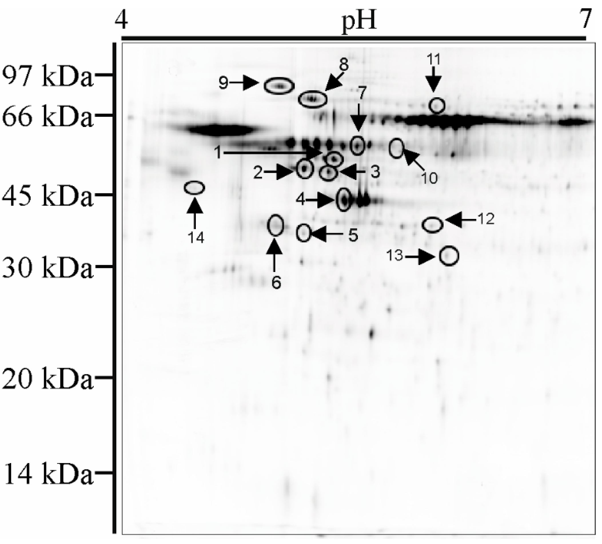 Materials 13 04769 g007