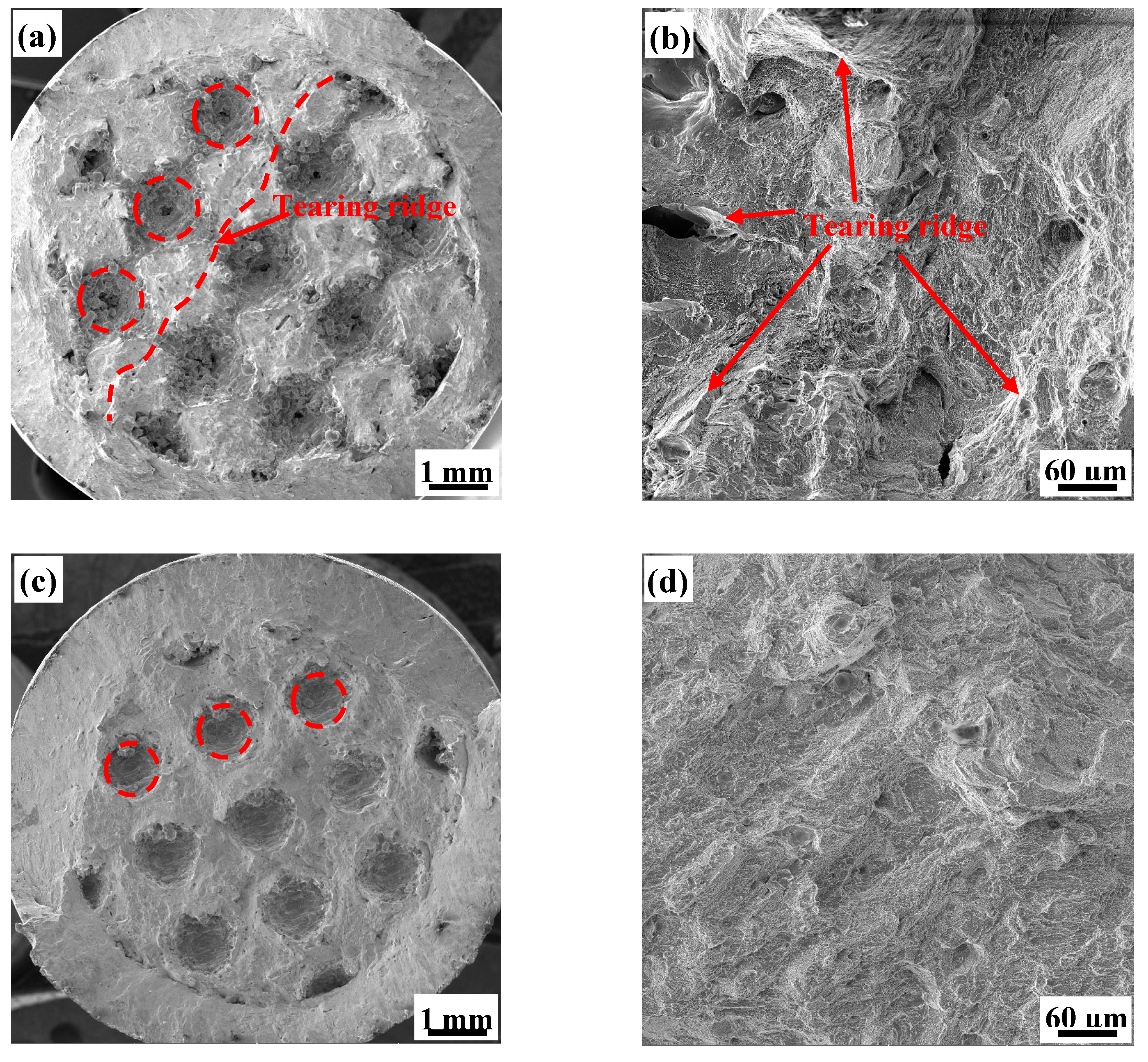 Materials 13 04786 g011