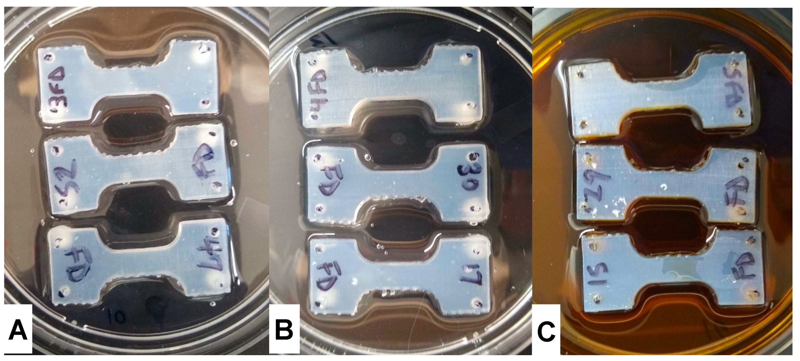 Materials 13 04788 g002