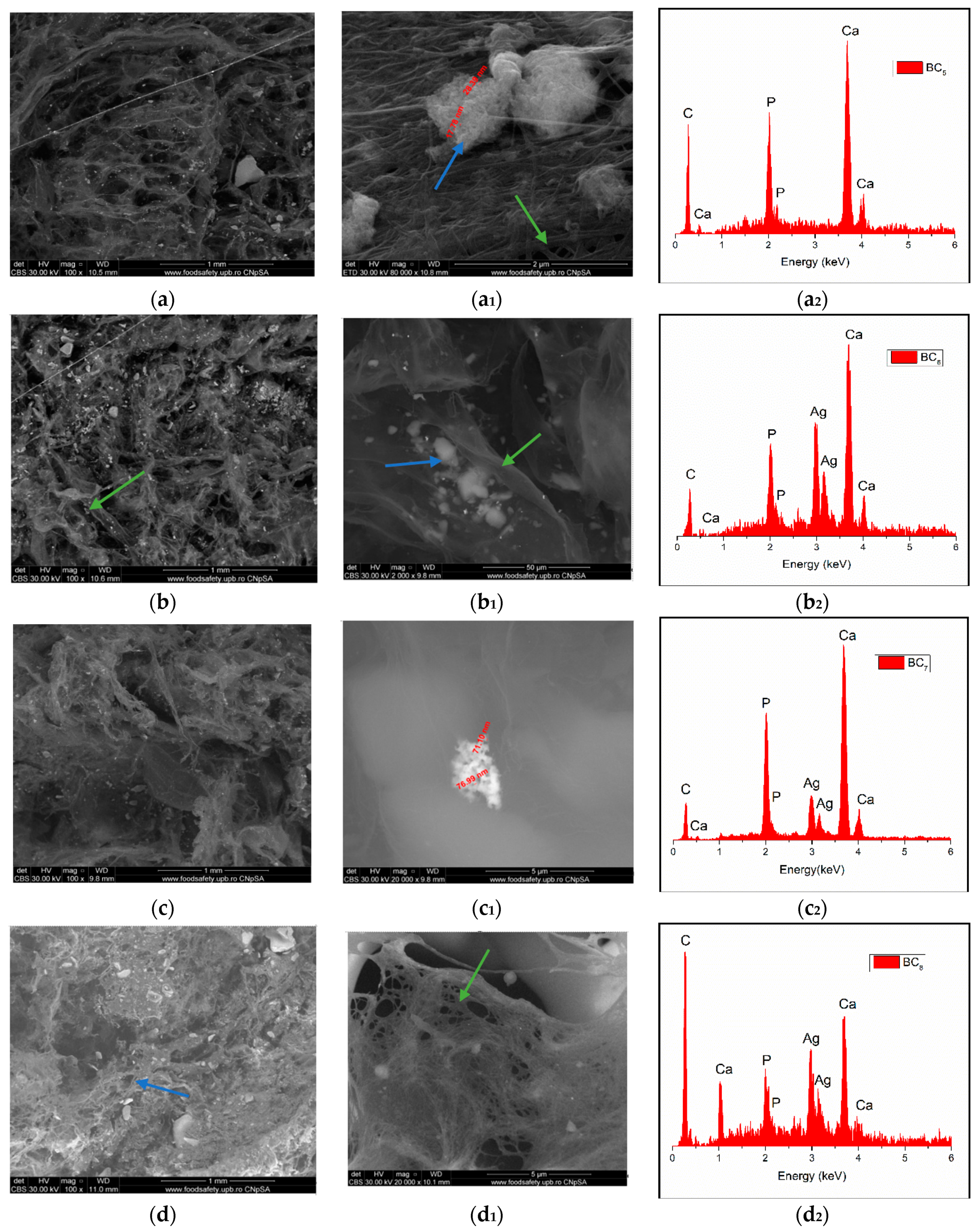 Materials 13 04793 g008