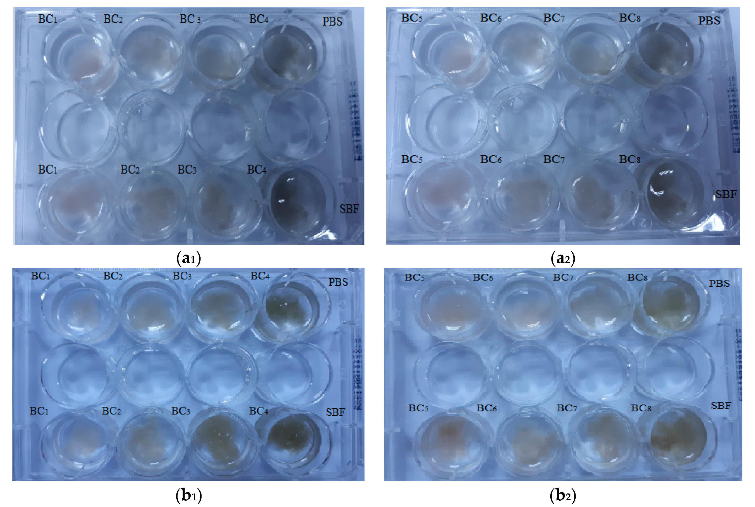 Materials 13 04793 g011