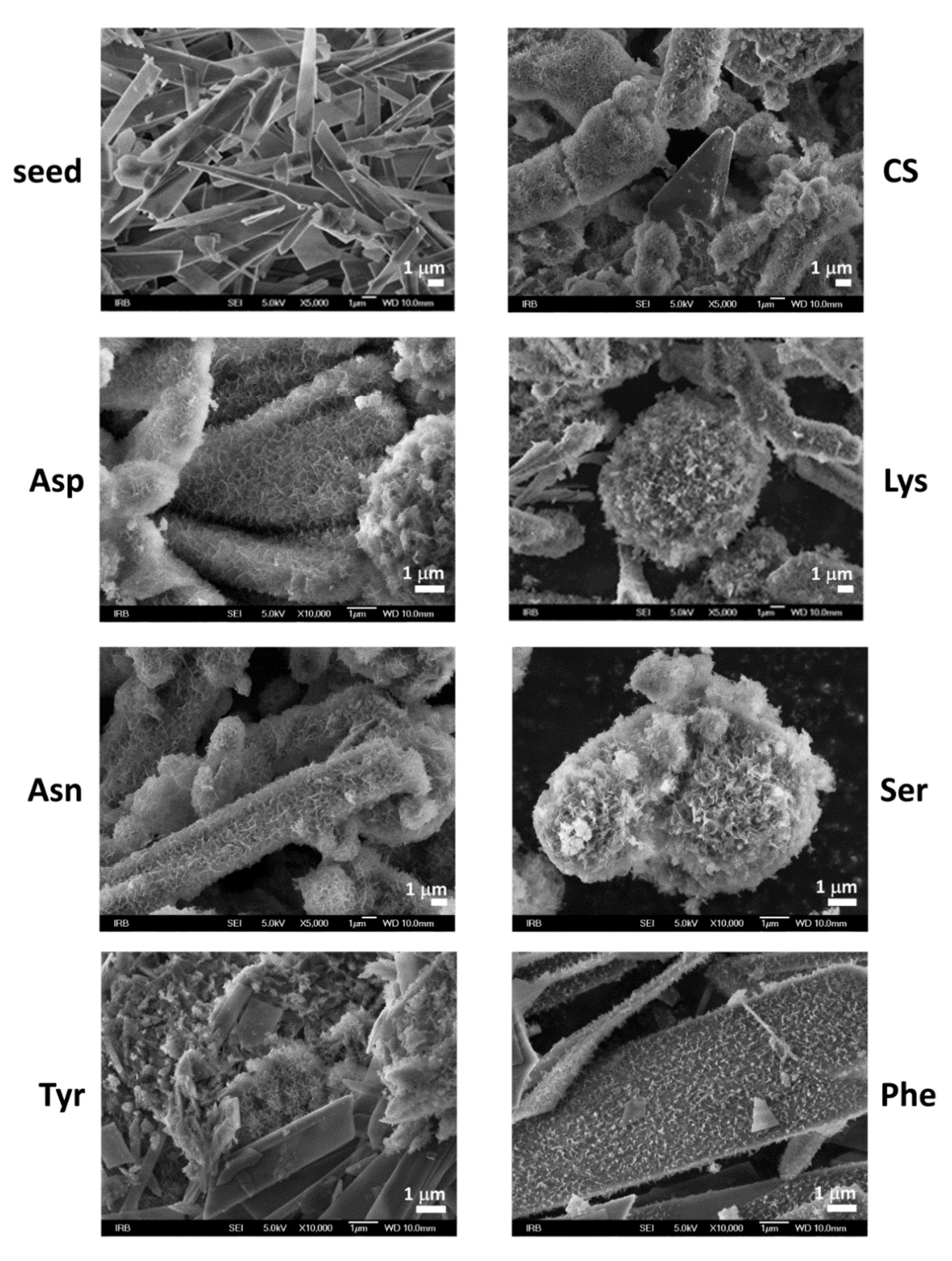 Materials 13 04798 g002