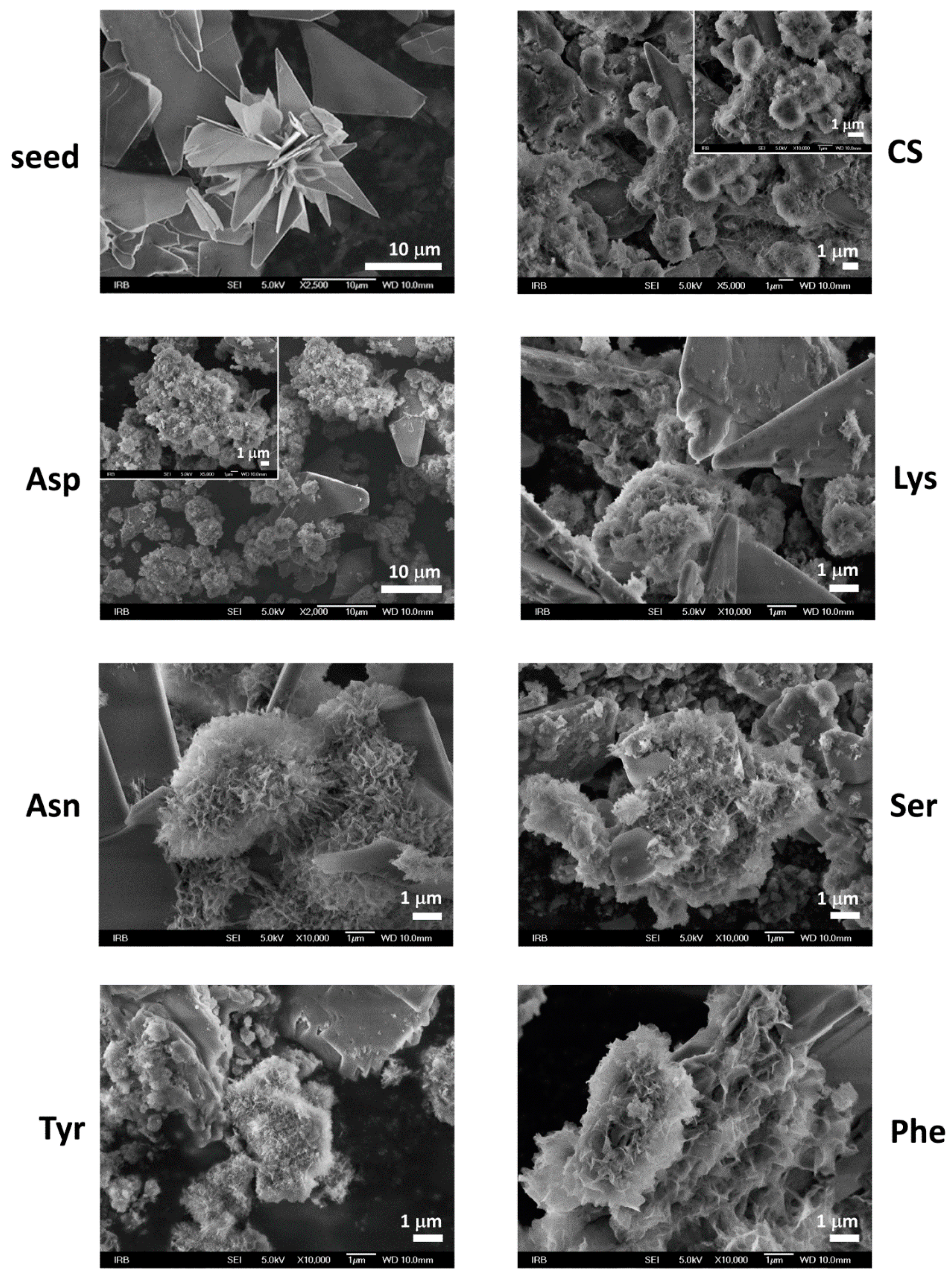 Materials 13 04798 g006