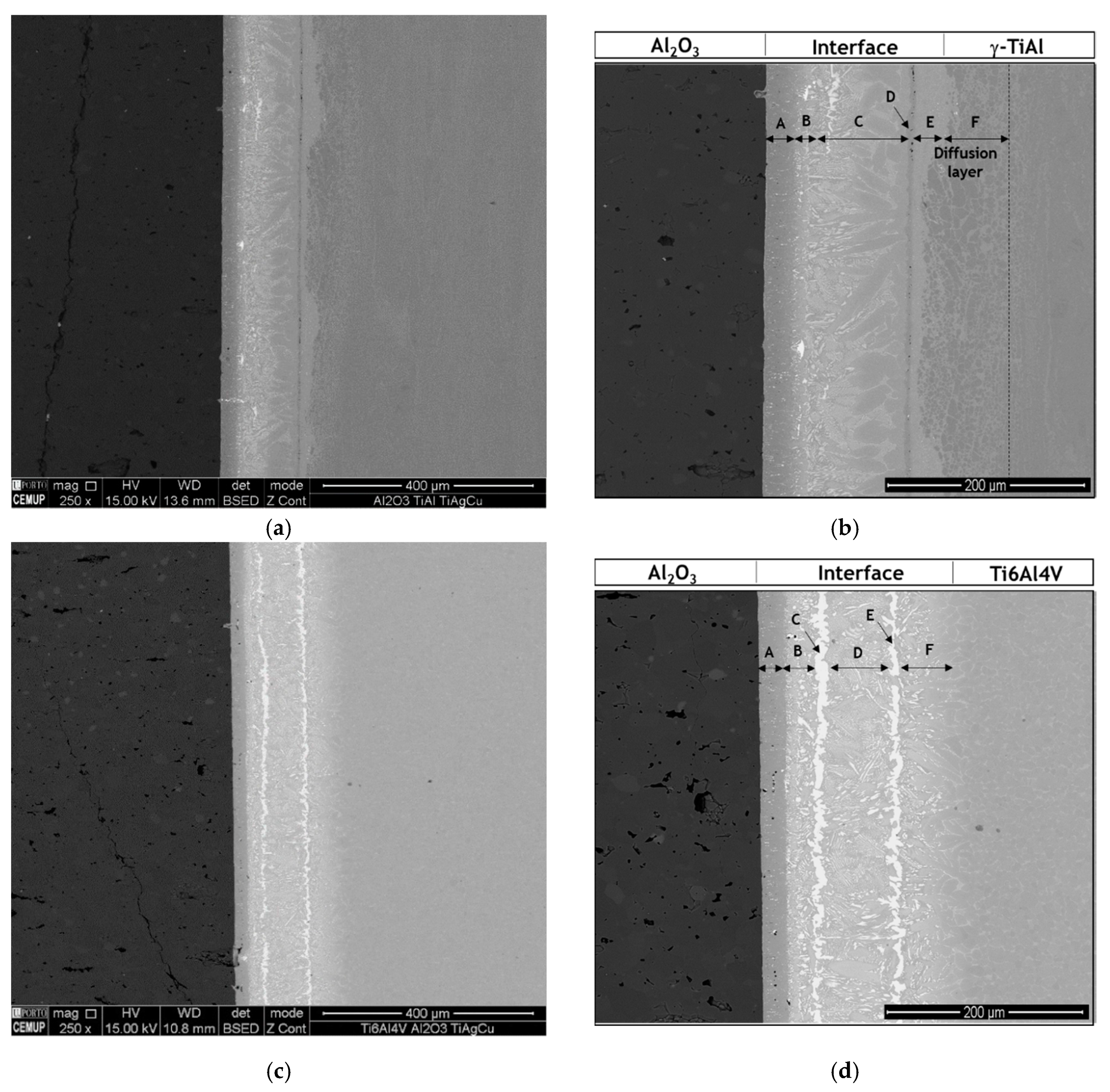 Materials 13 04802 g001