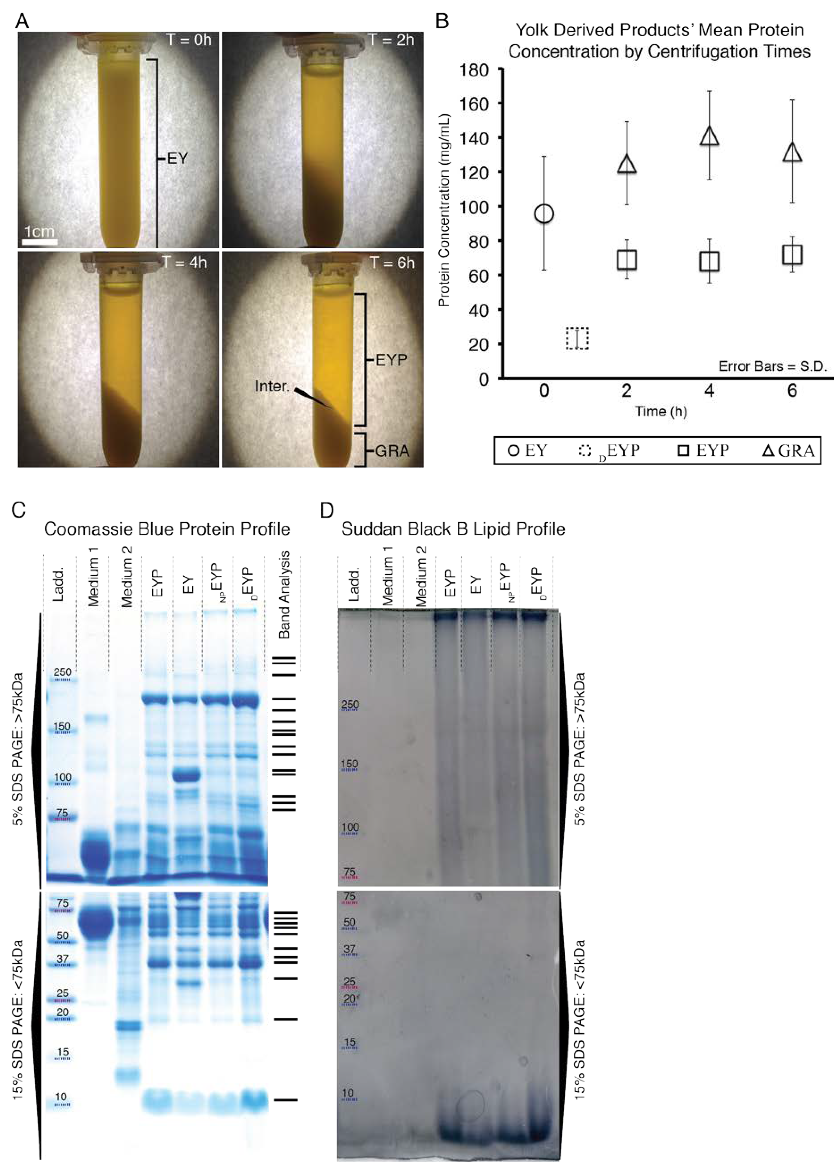 Materials 13 04807 g001