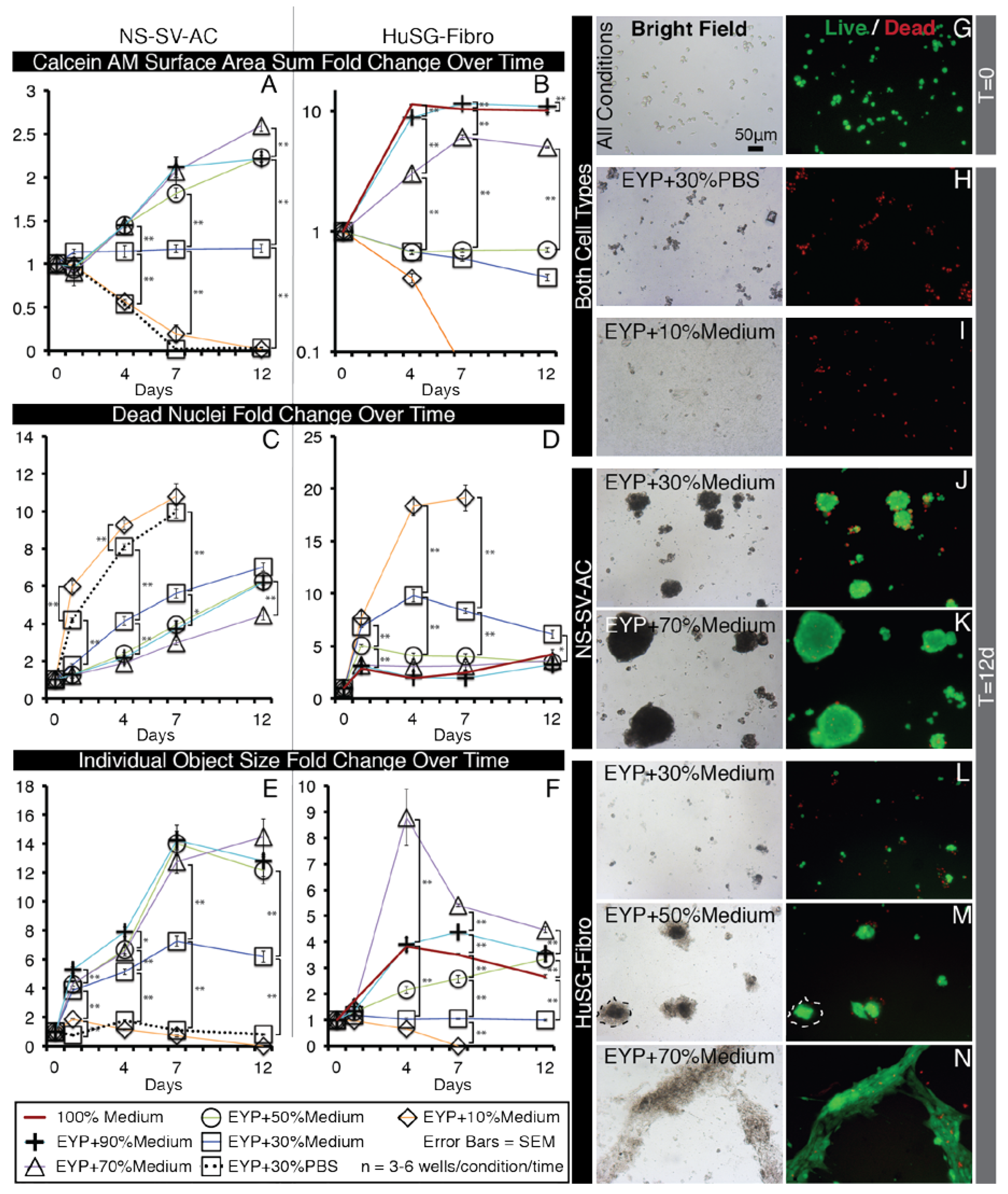 Materials 13 04807 g002
