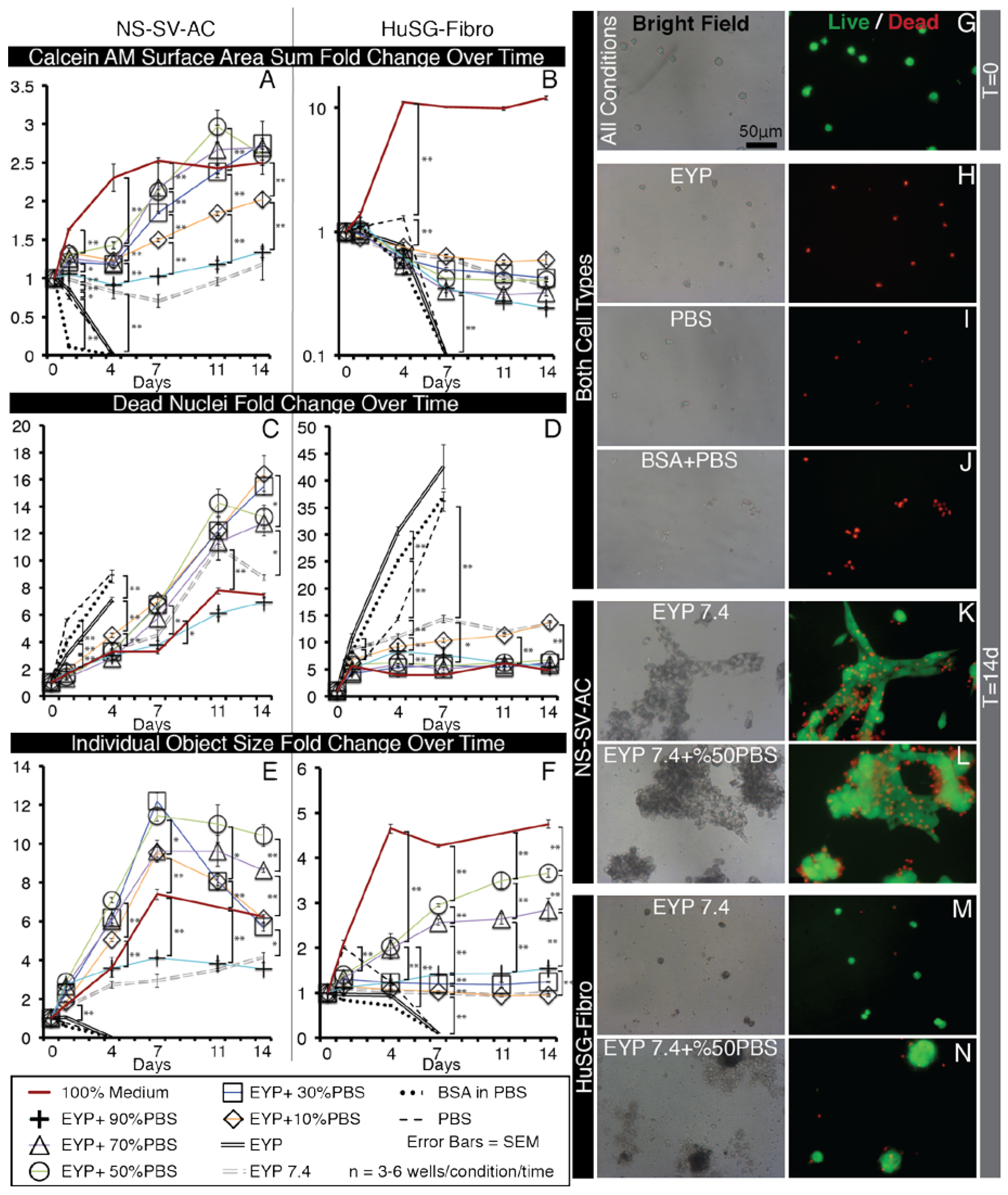 Materials 13 04807 g004