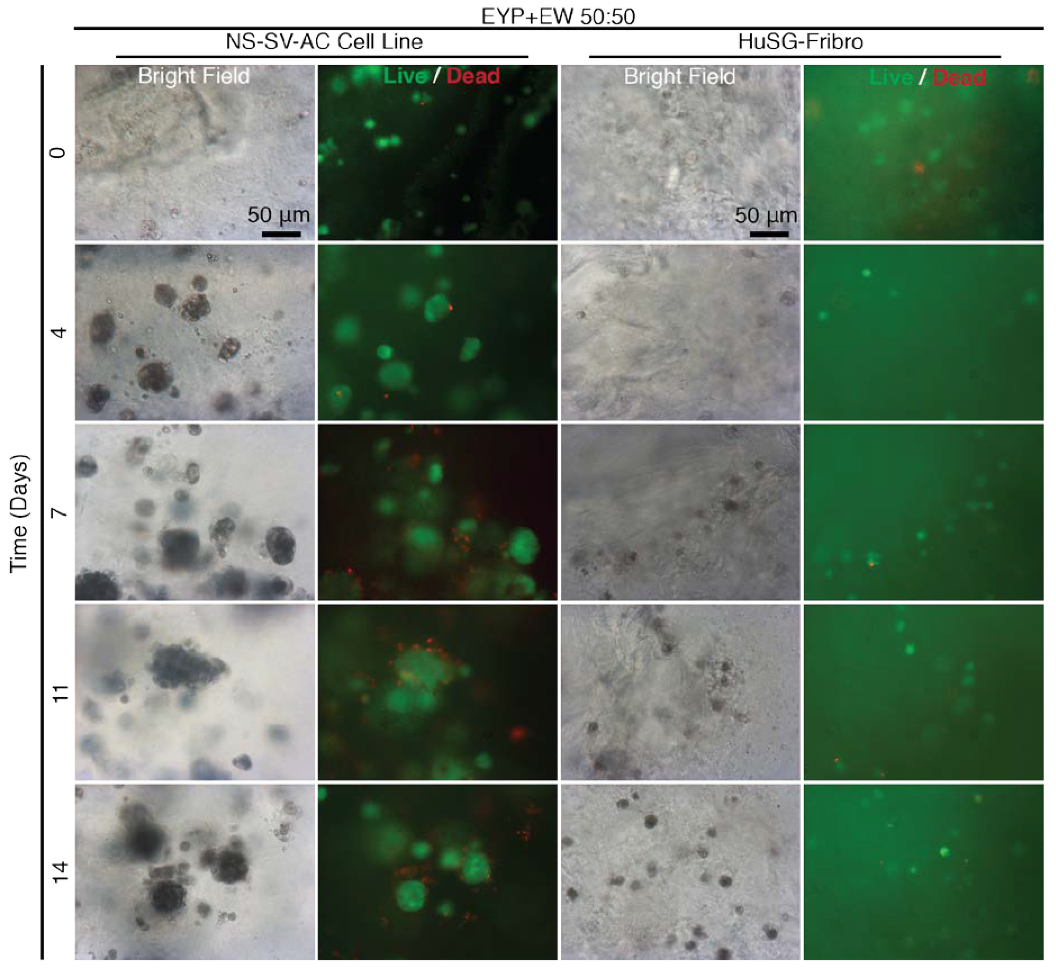 Materials 13 04807 g005