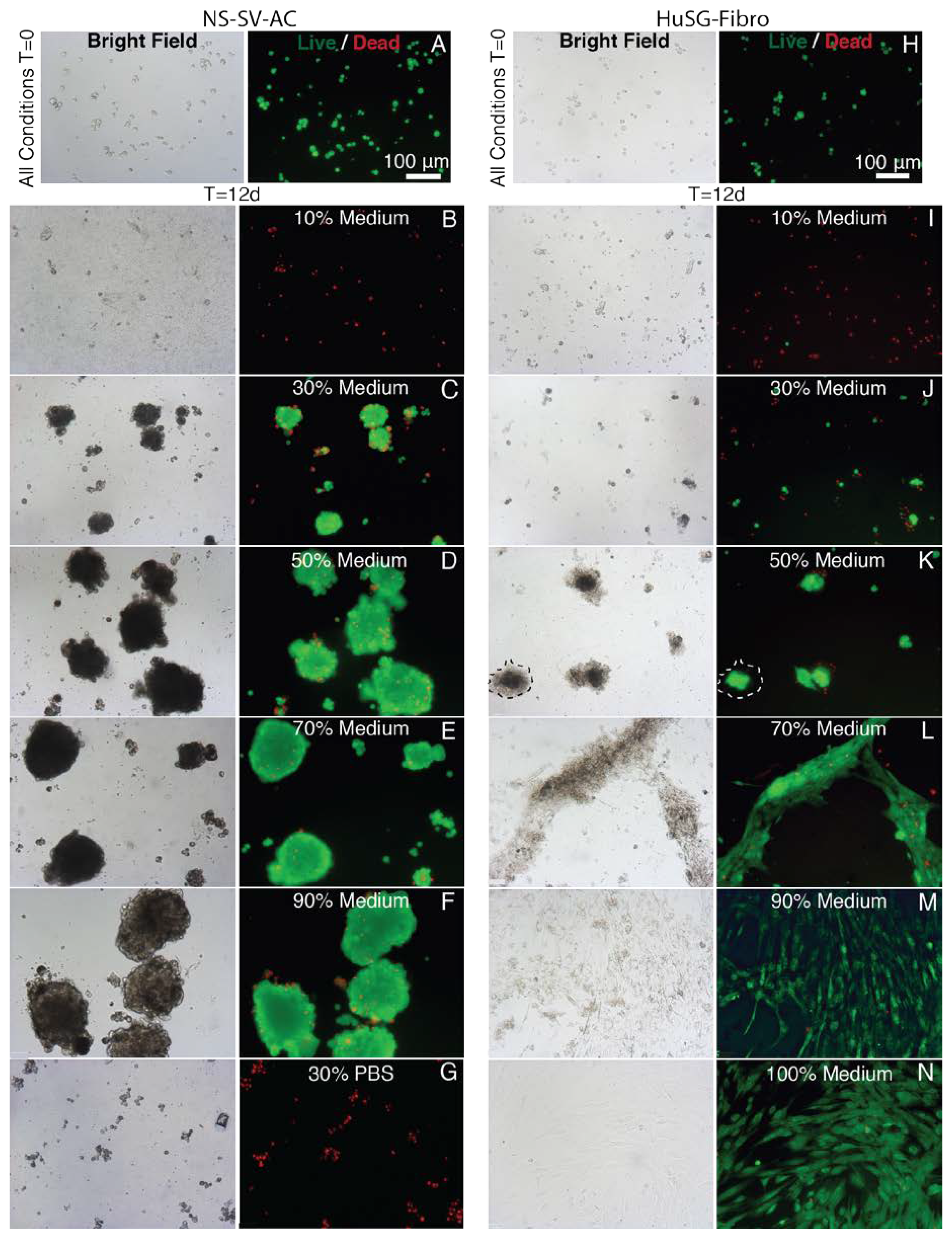 Materials 13 04807 g0a4