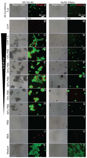 Materials 13 04807 g0a5