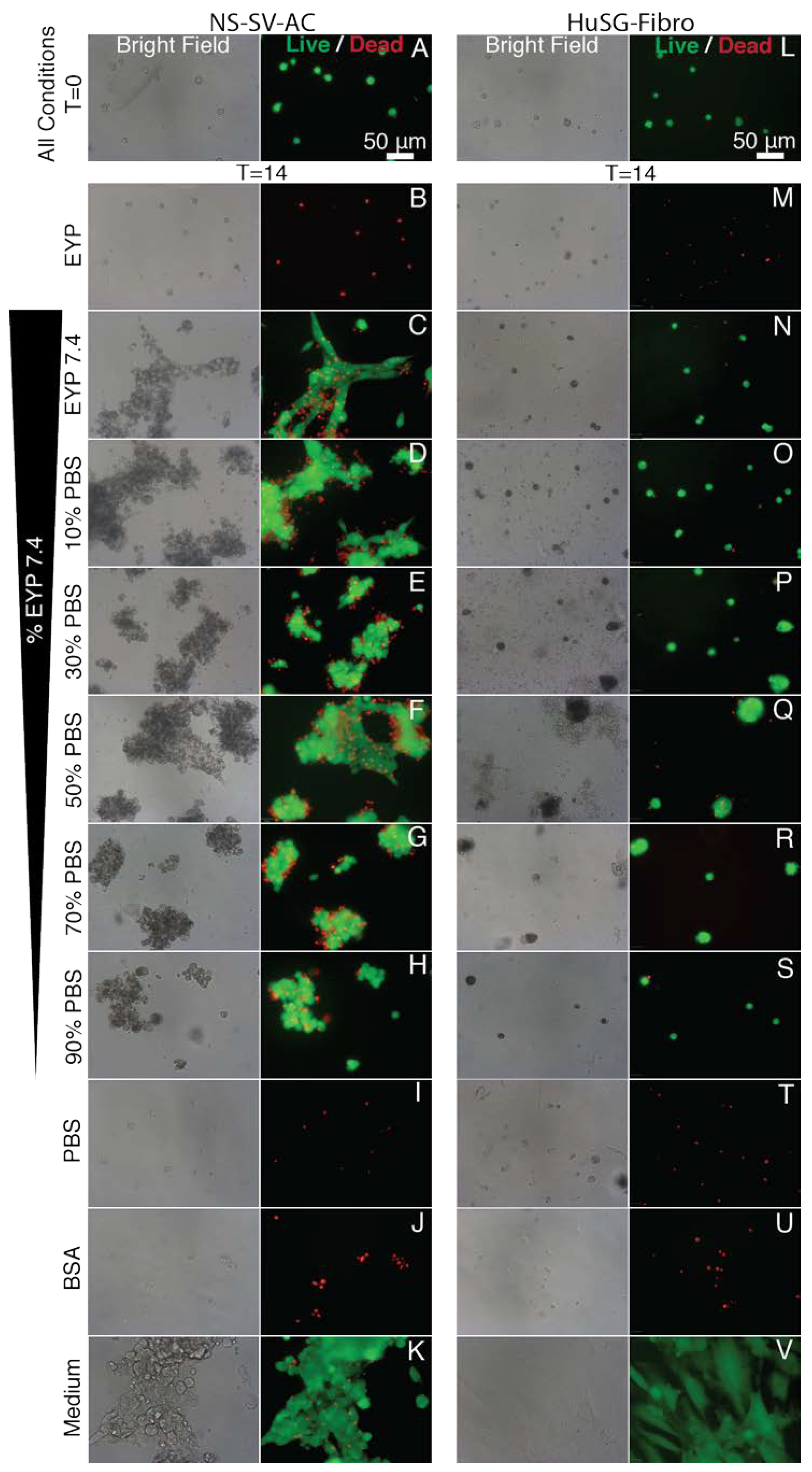 Materials 13 04807 g0a5