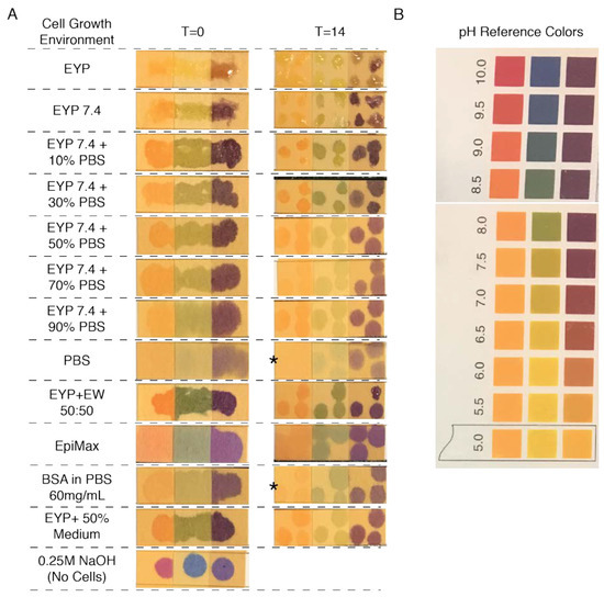 Materials 13 04807 g0a6
