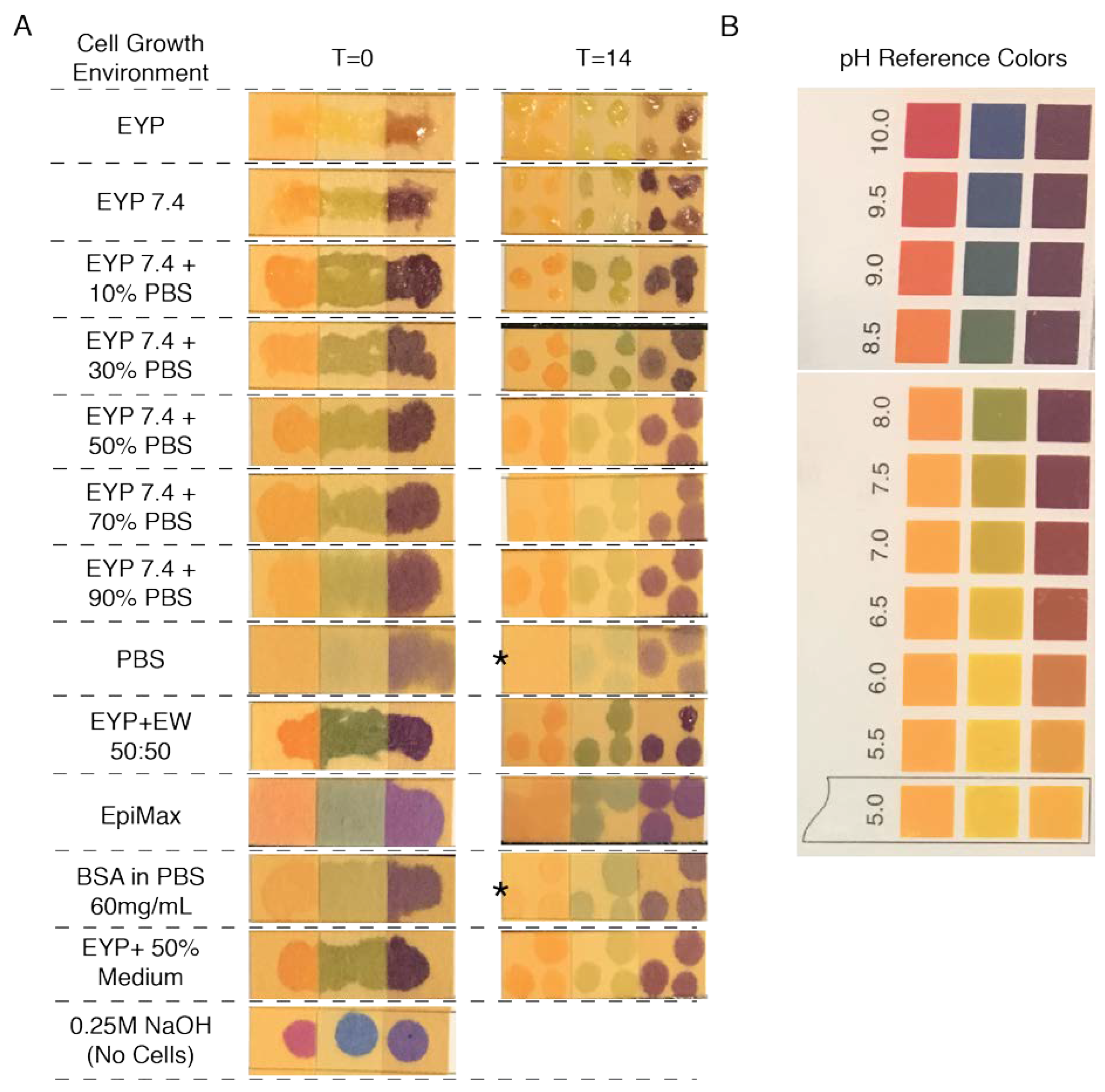 Materials 13 04807 g0a6