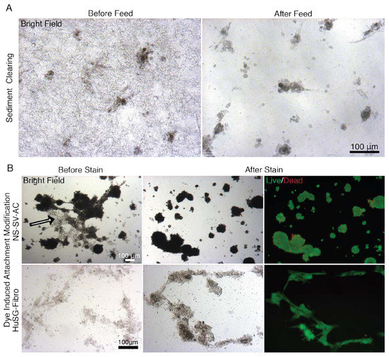 Materials 13 04807 g0a9