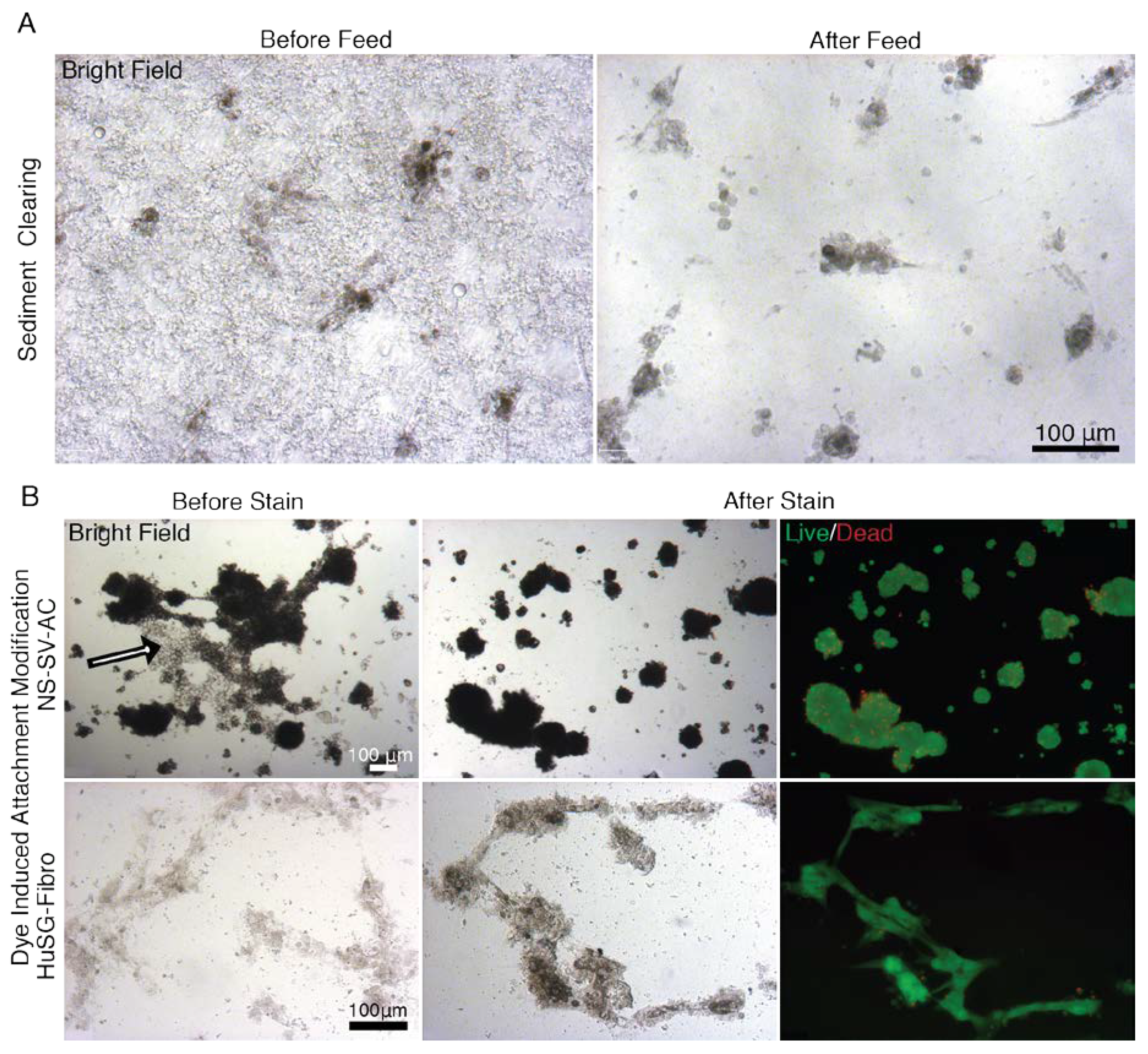 Materials 13 04807 g0a9