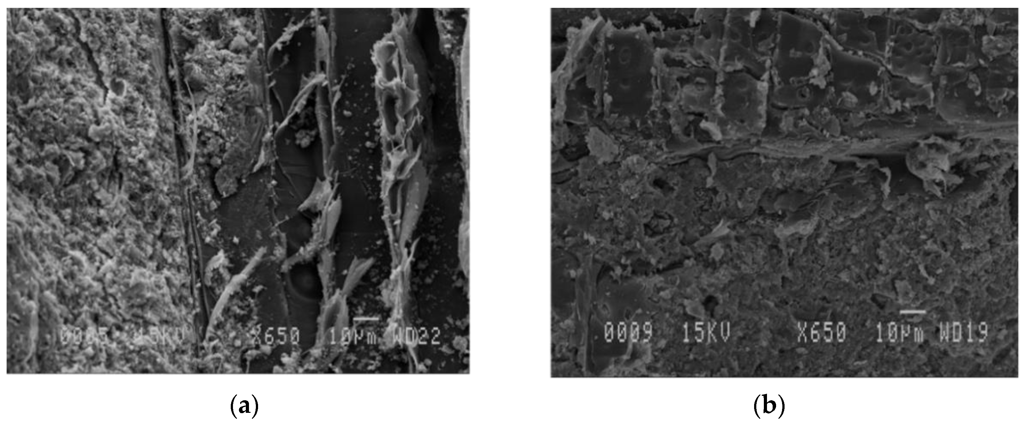 Materials 13 04813 g005