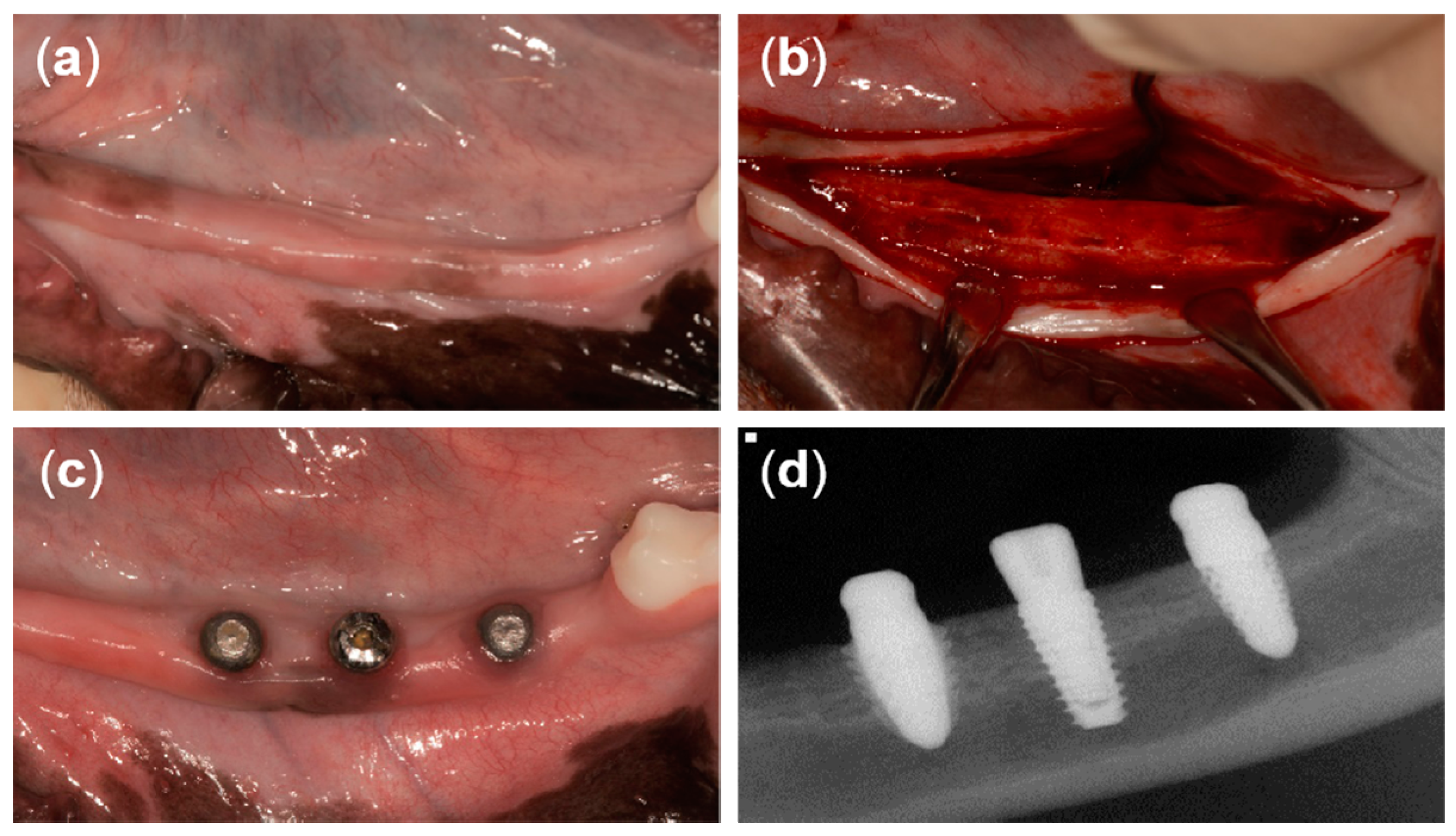 Materials 13 04815 g004