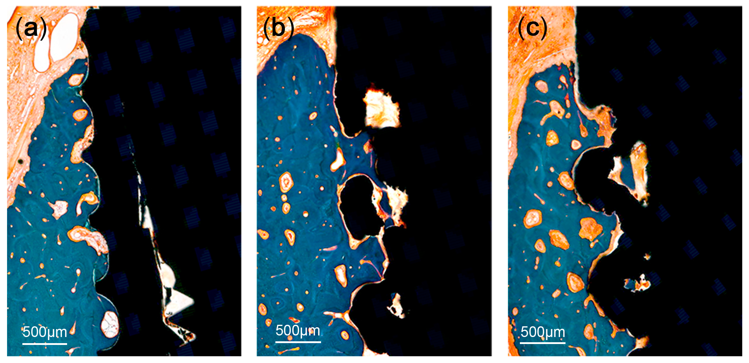 Materials 13 04815 g006