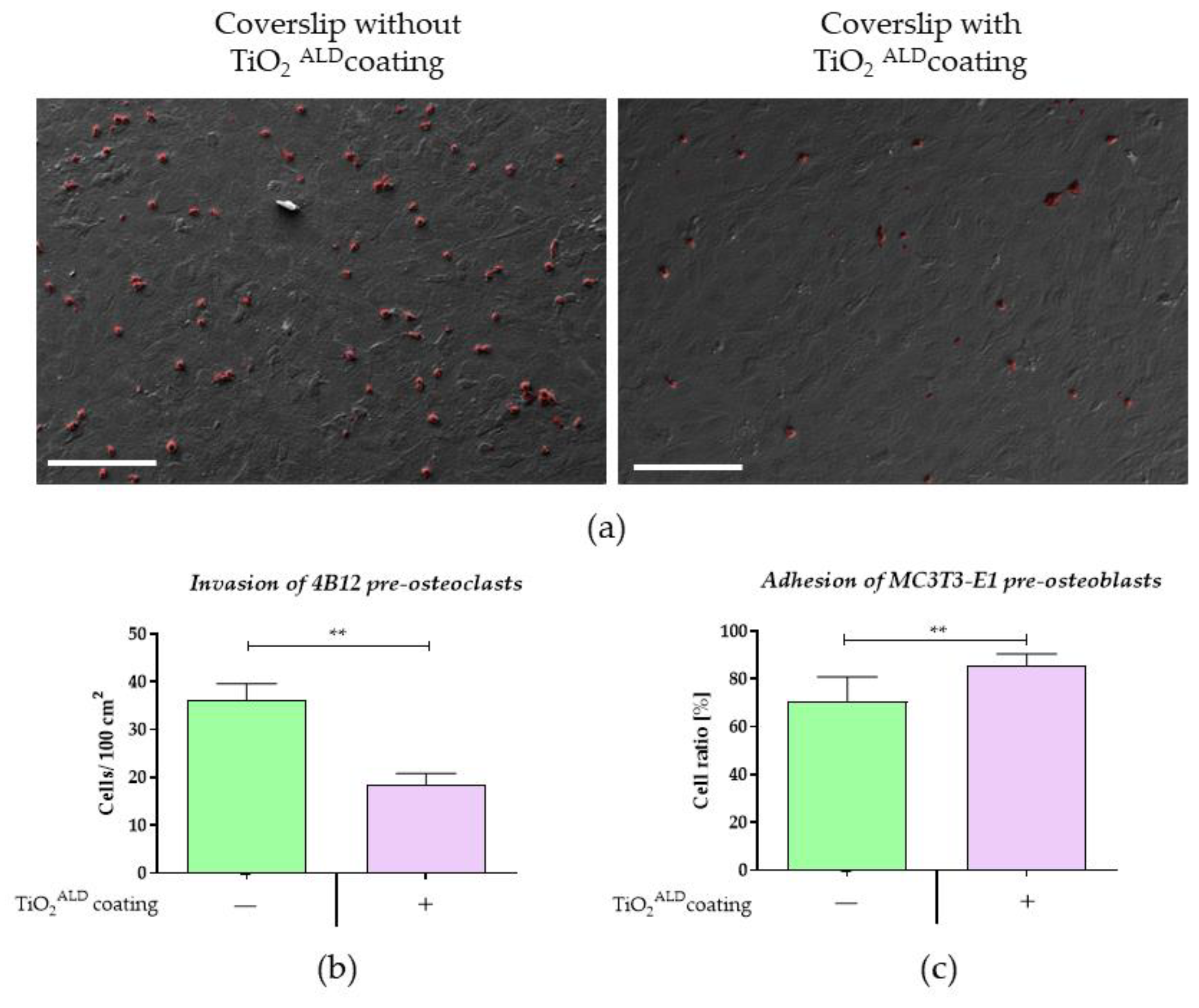 Materials 13 04817 g009