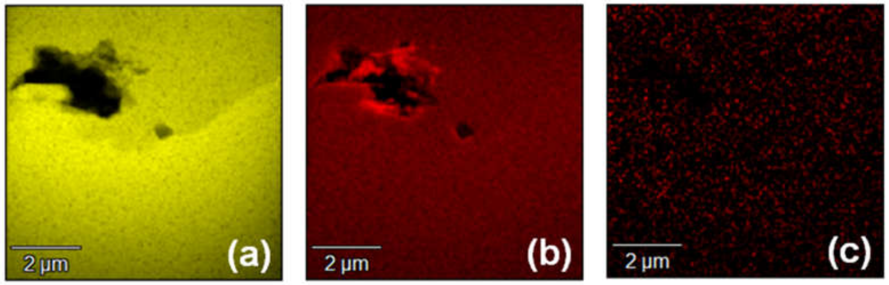 Materials 13 04818 g010