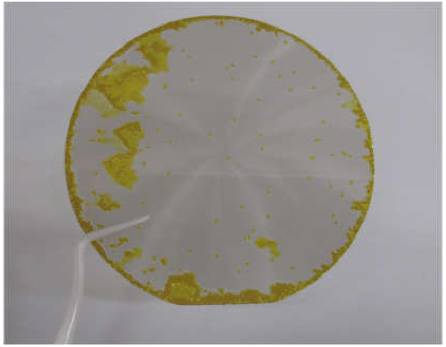 Materials 13 04818 g012