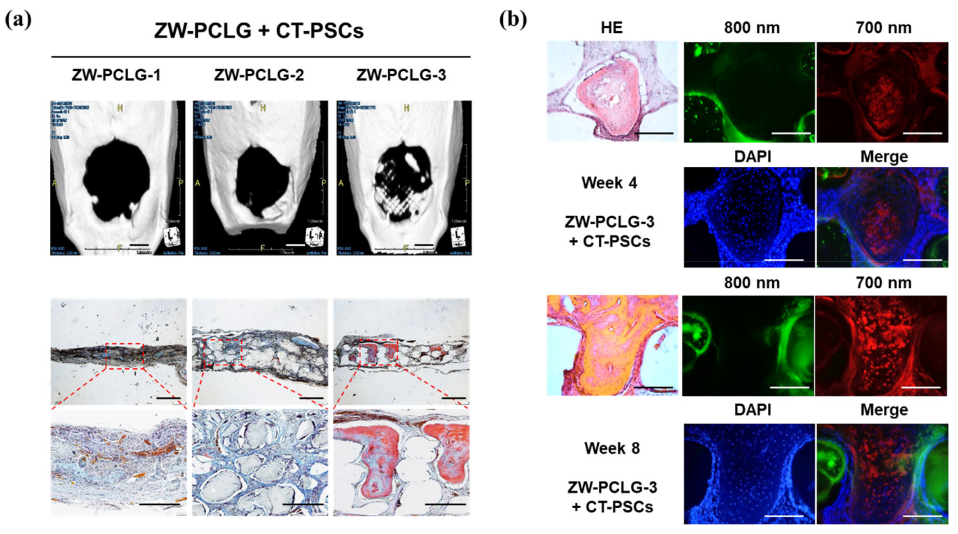 Materials 13 04819 g008