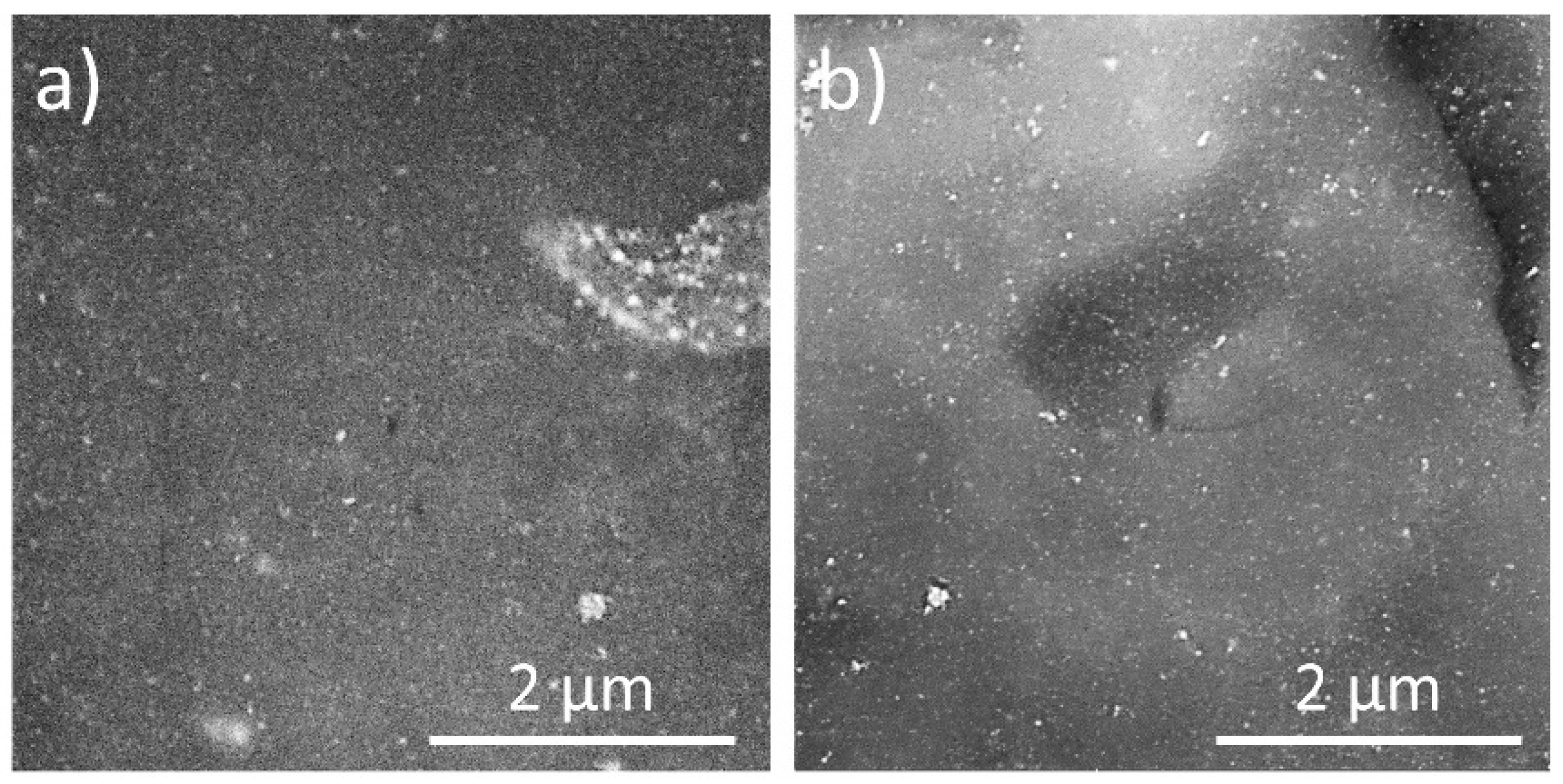 Materials 13 04821 g005