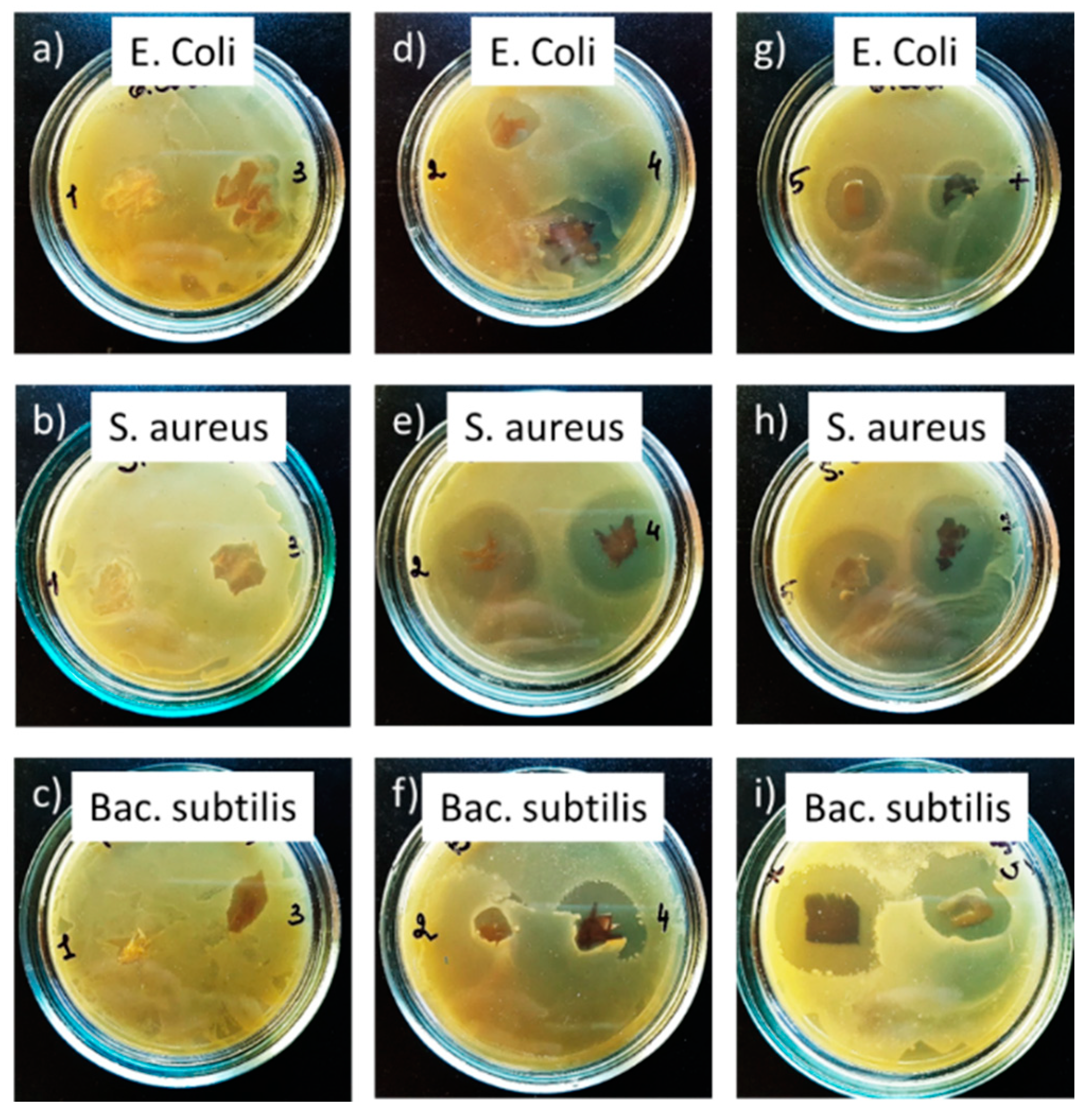 Materials 13 04821 g009