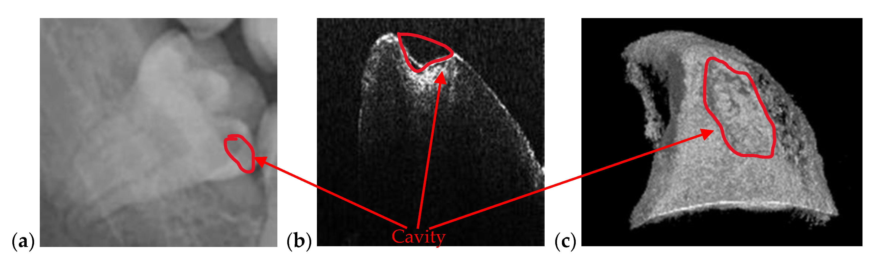 Materials 13 04825 g007