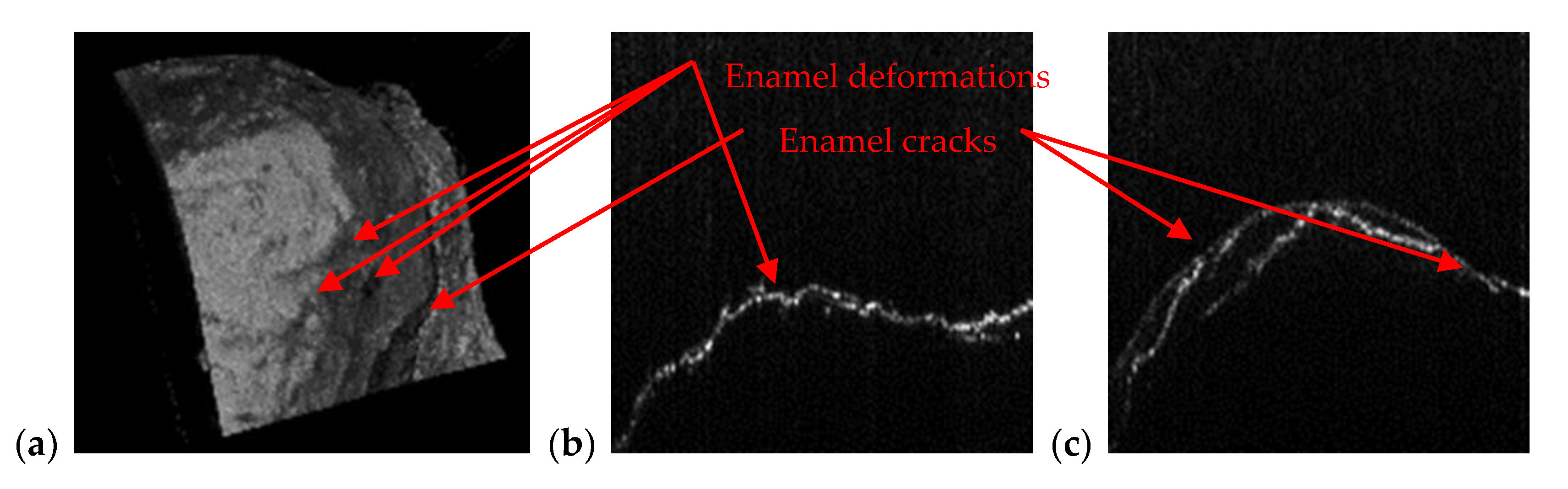 Materials 13 04825 g012