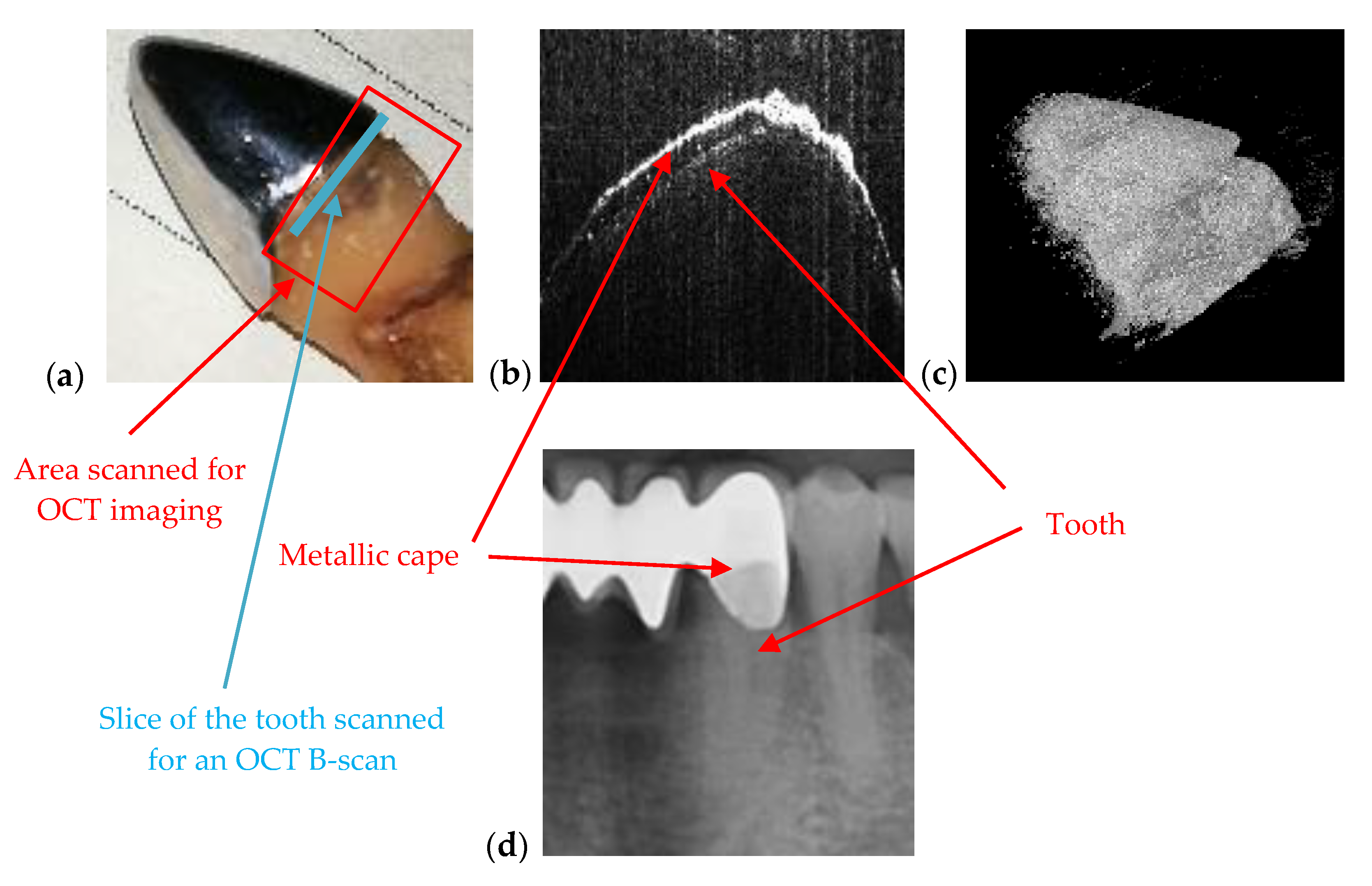 Materials 13 04825 g013