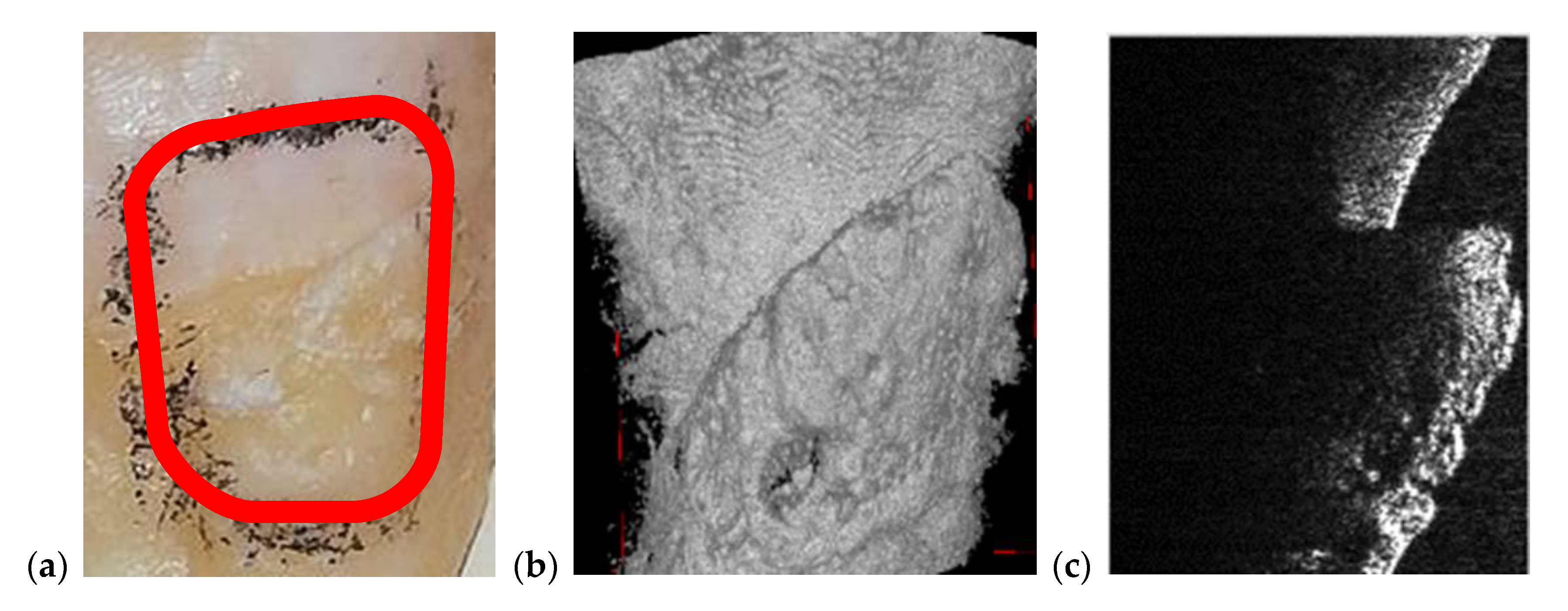 Materials 13 04825 g014