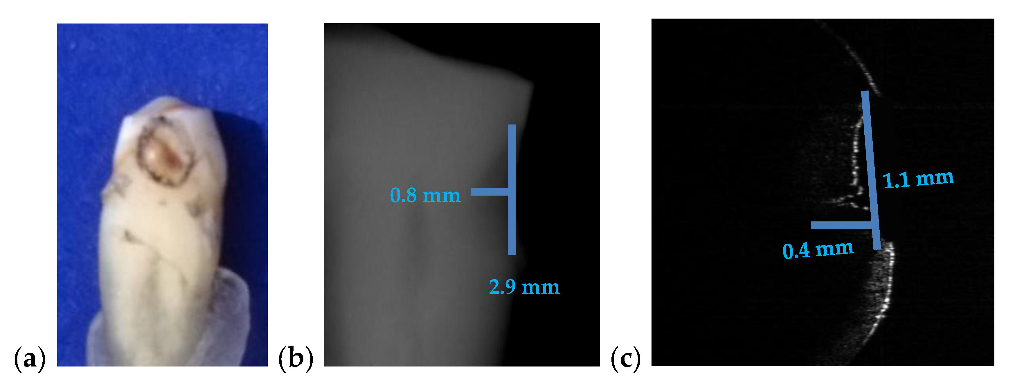 Materials 13 04825 g015a