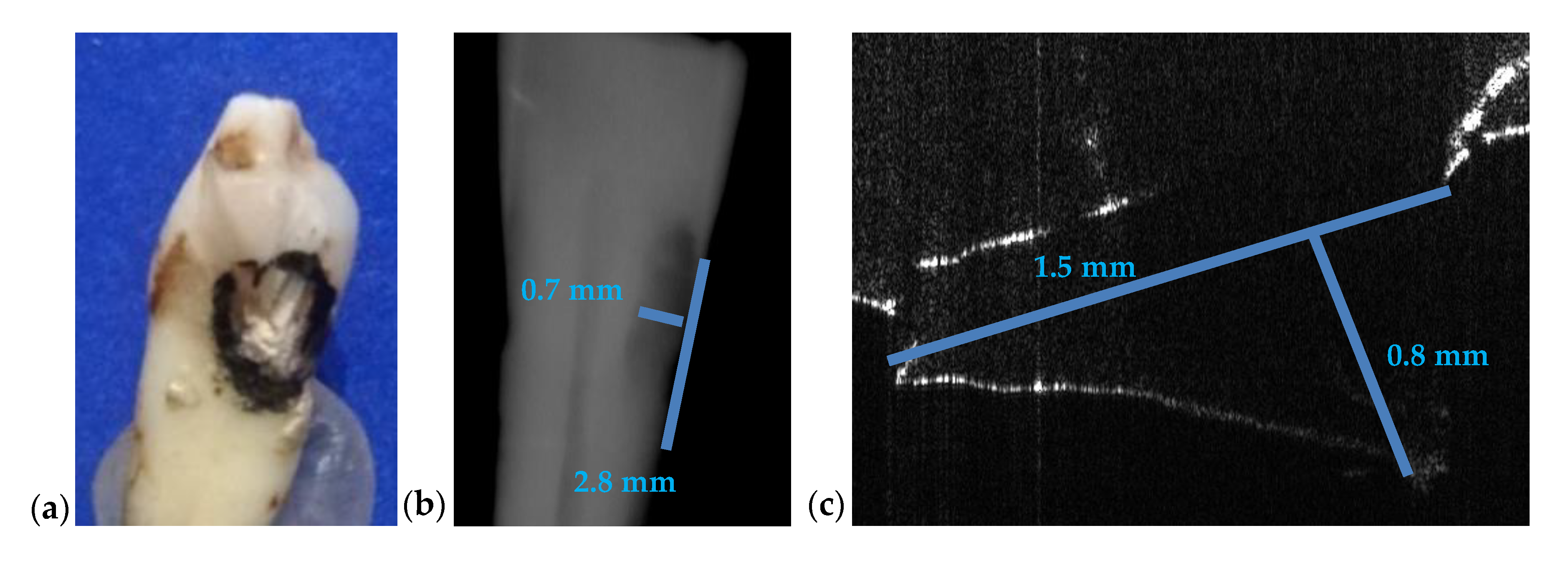 Materials 13 04825 g016