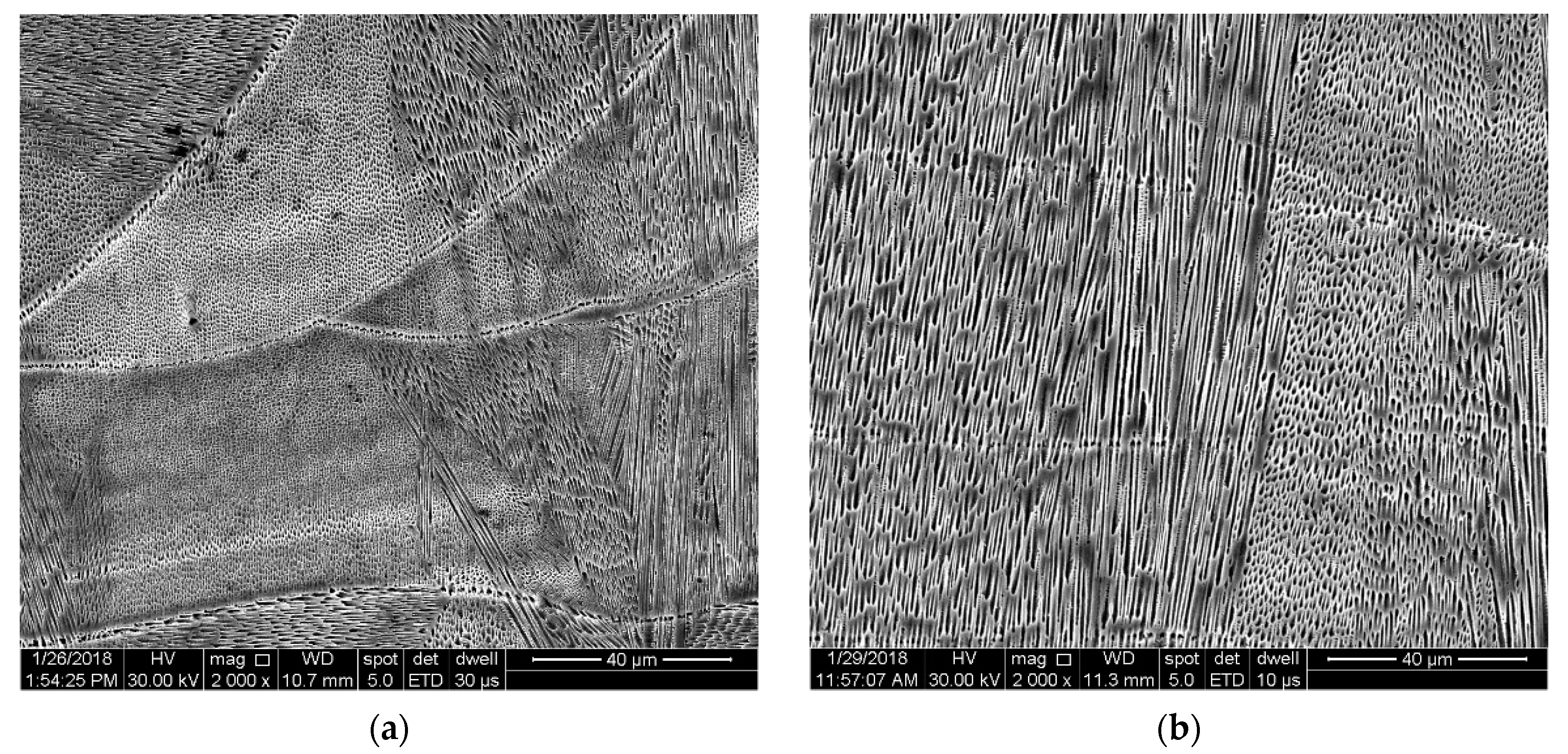 Materials 13 04829 g006