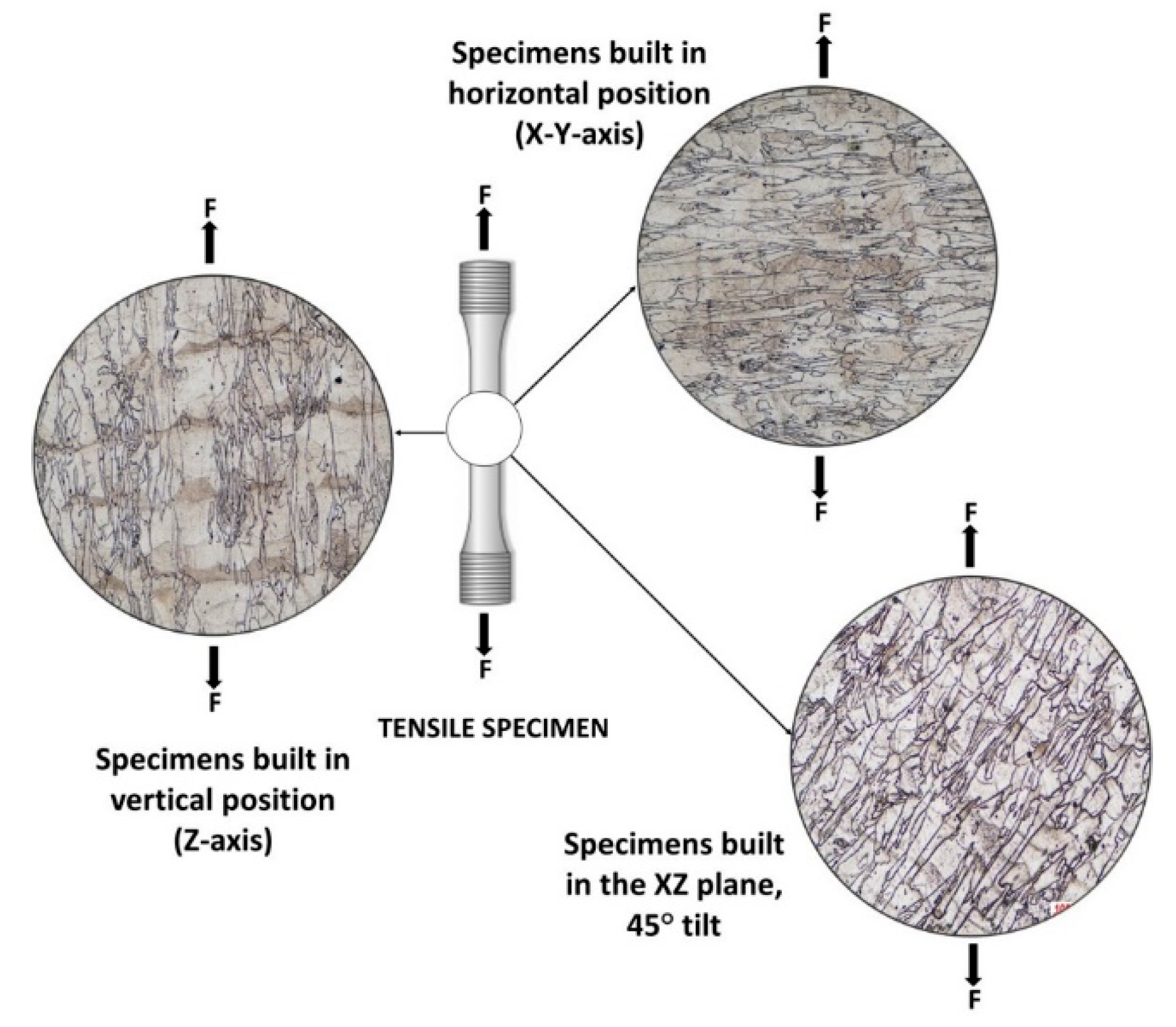 Materials 13 04829 g017