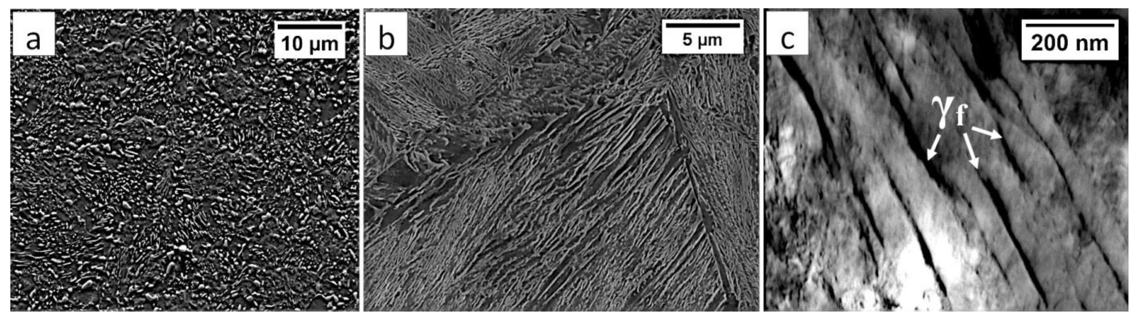 Materials 13 04841 g001